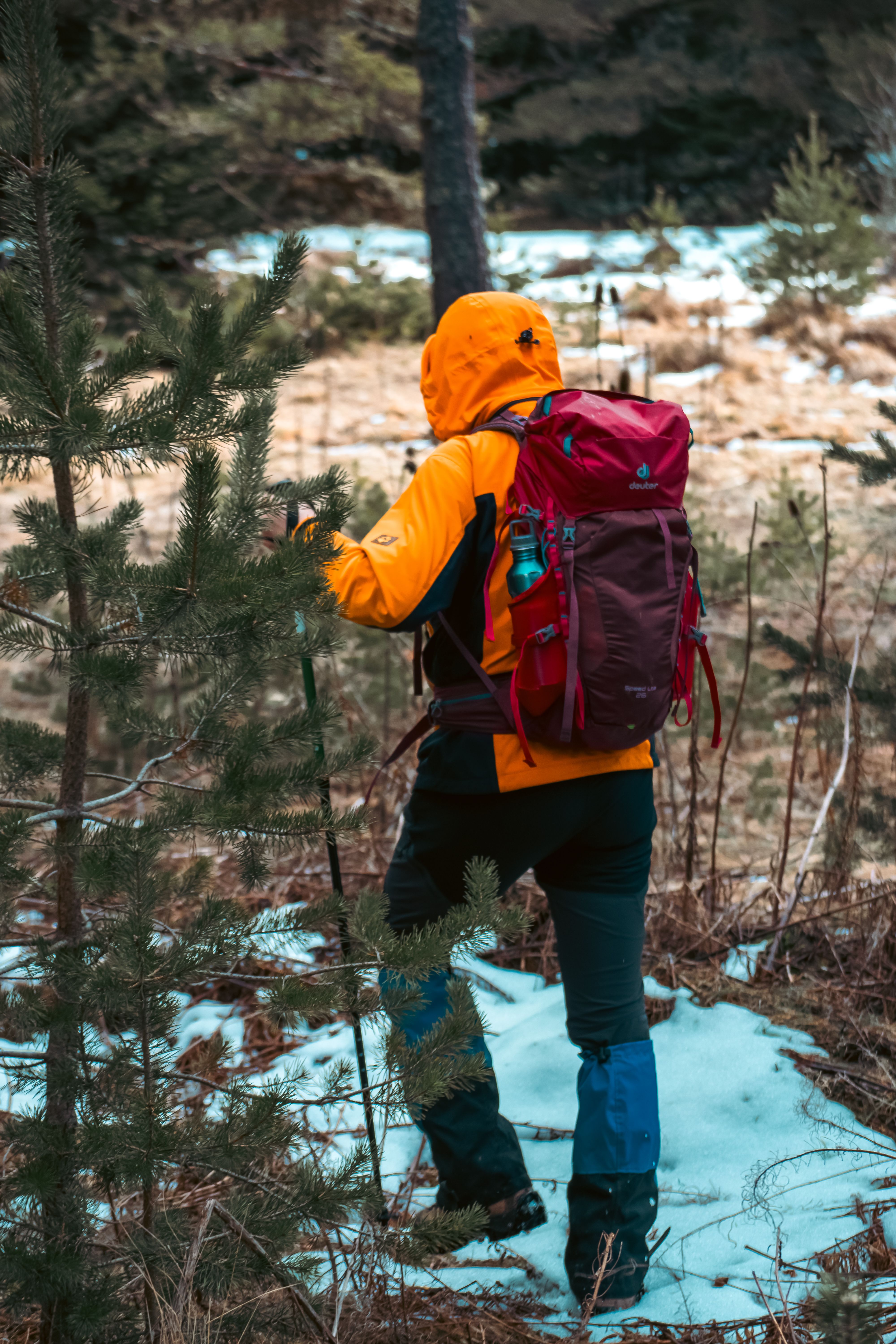 Hiker in vibrant gear trekking through snowy forest trails during winter.