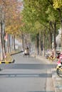 Scenic Tree-Lined Road with Bicycle Commuters