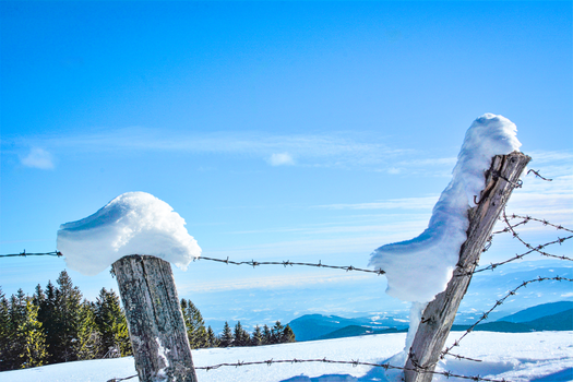 A serene winter landscape with snow-covered barbed wire fence under a clear blue sky.