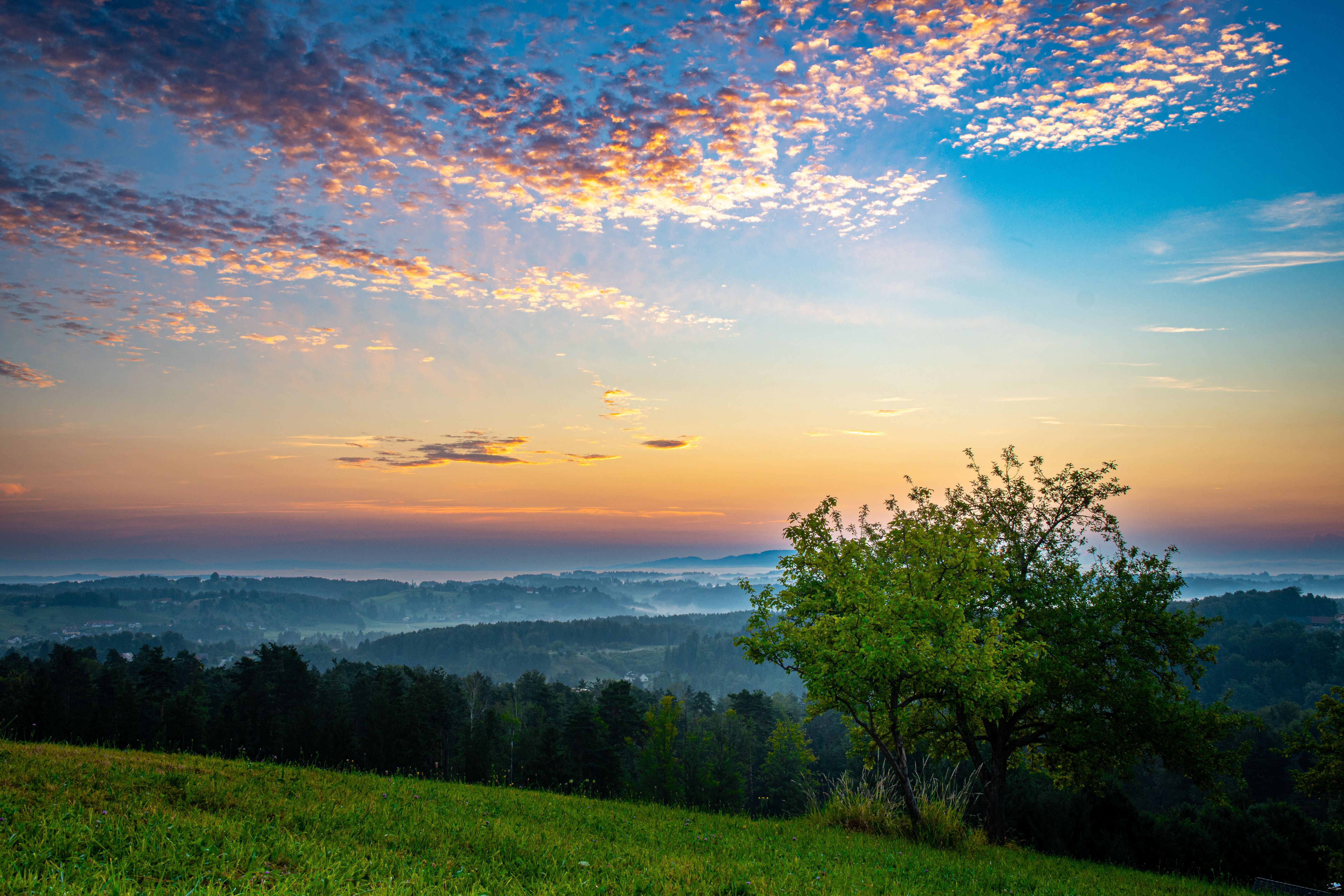 Vibrant Sunrise over Misty Rural Landscape · Free Stock Photo