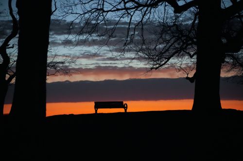 Free Serene silhouette of a park bench at sunset framed by trees. Stock Photo