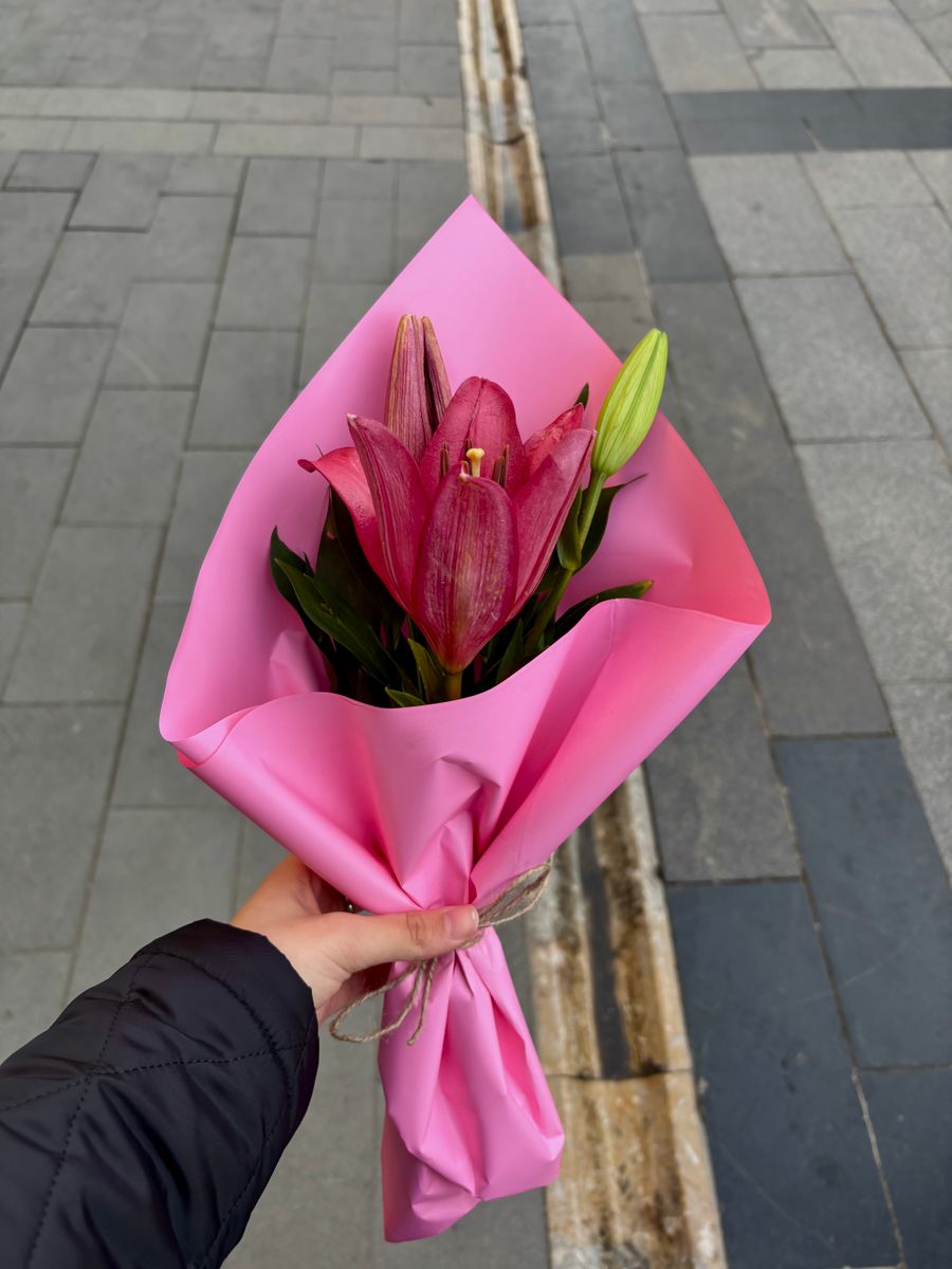 Lila Gül Ay Çiçeği ve Lilyum