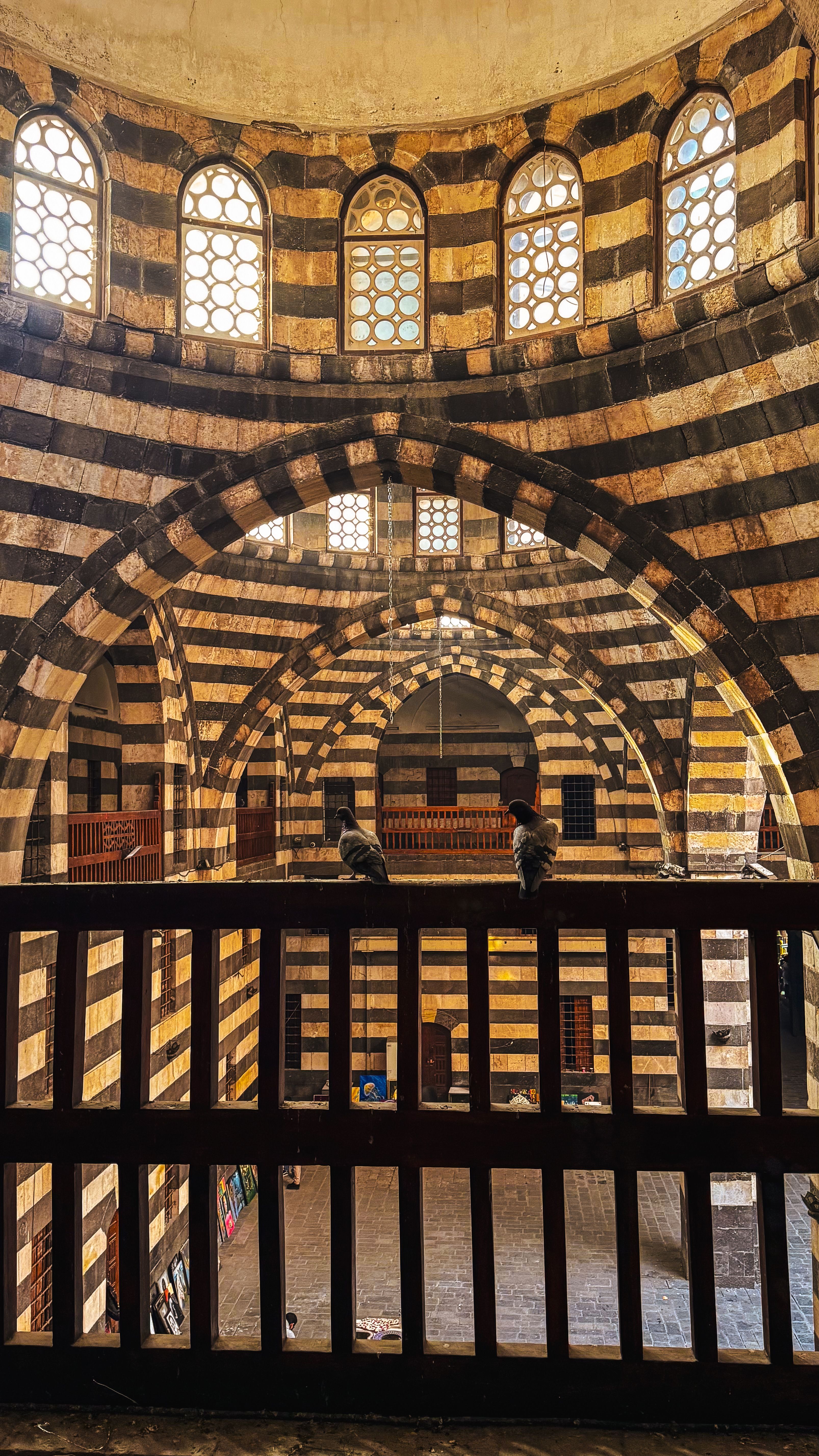 Stunning Striped Architecture Interior with Birds · Free Stock Photo