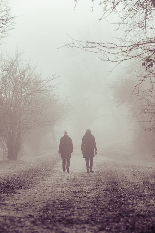 Free Two people walking on a misty forest path surrounded by fog and bare trees in winter. Stock Photo