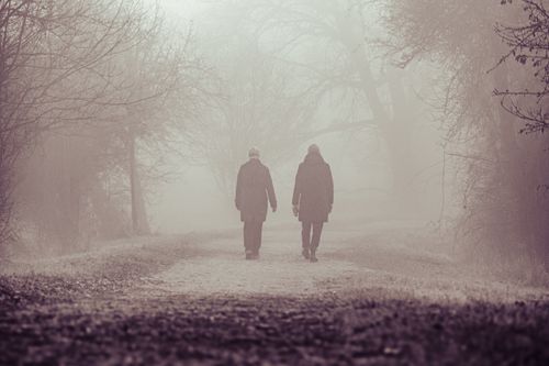 Free Two people walk through a dense fog-covered path surrounded by bare trees, creating a mysterious atmosphere. Stock Photo
