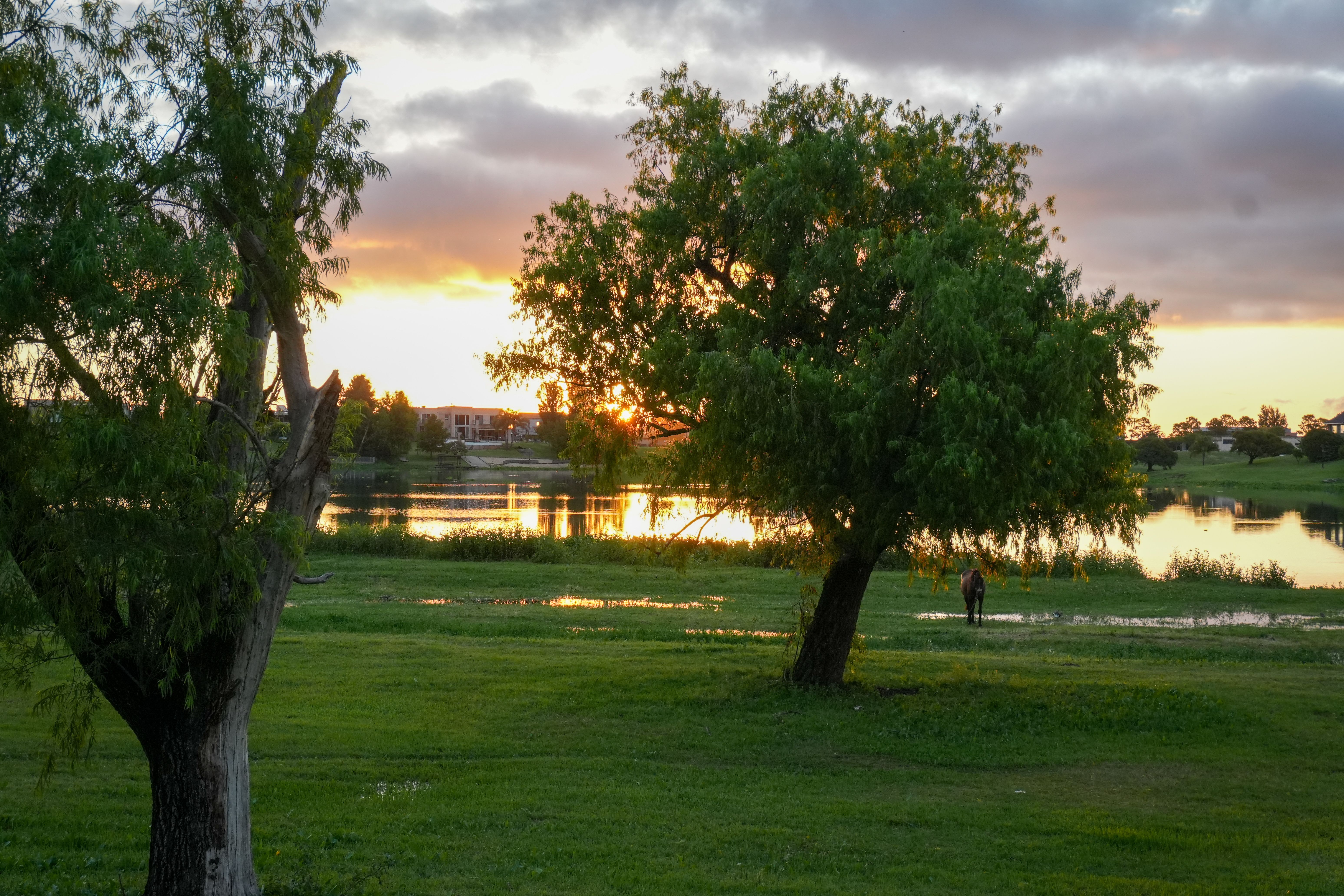 Tranquil Sunset Over Lush Riverside Landscape · Free Stock Photo