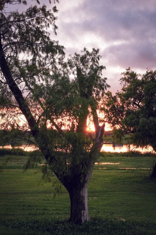 Free Tranquil sunset view through trees by a river in Entre Ríos, Argentina. Stock Photo