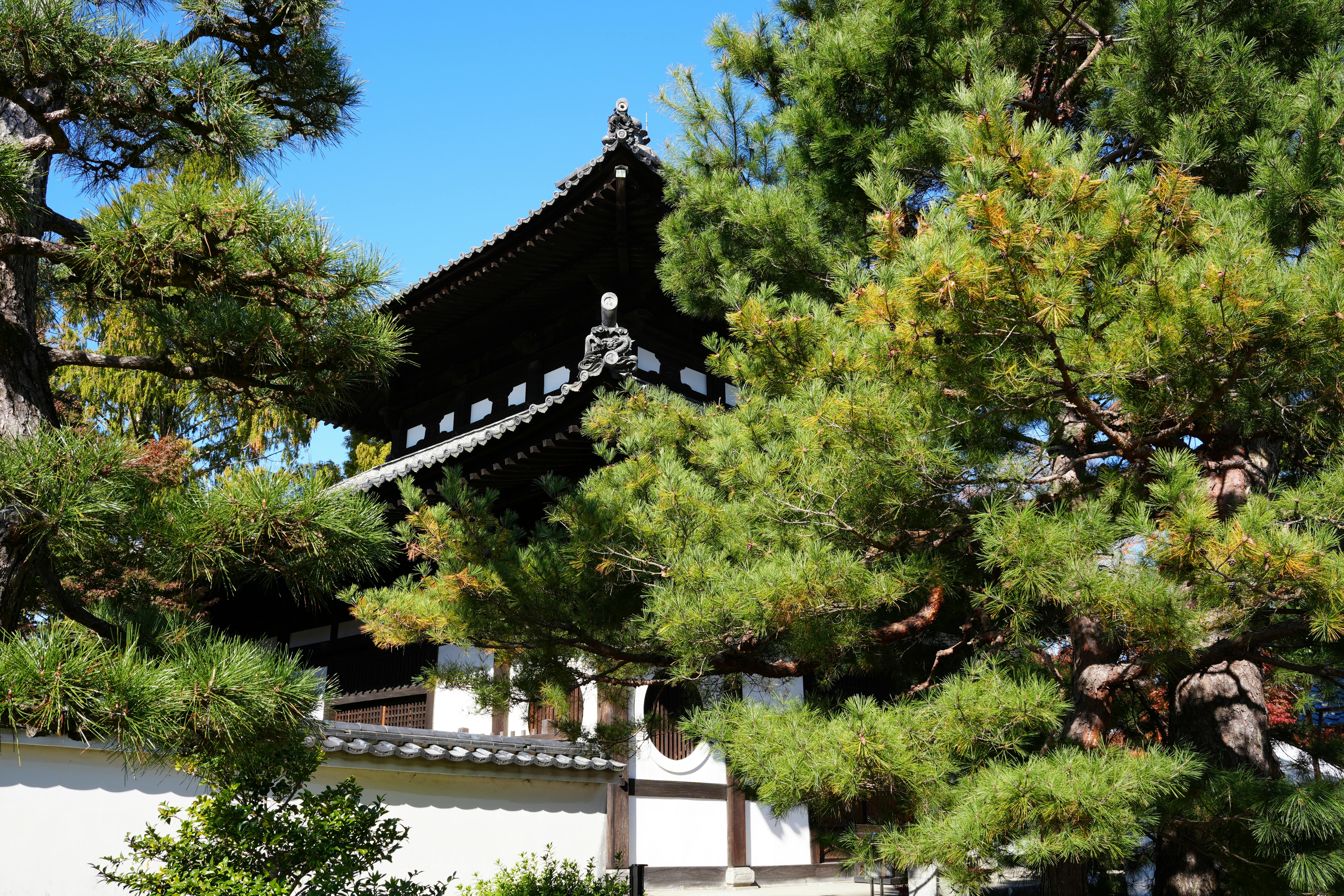 Free stock photo of japan, kyoto, temple