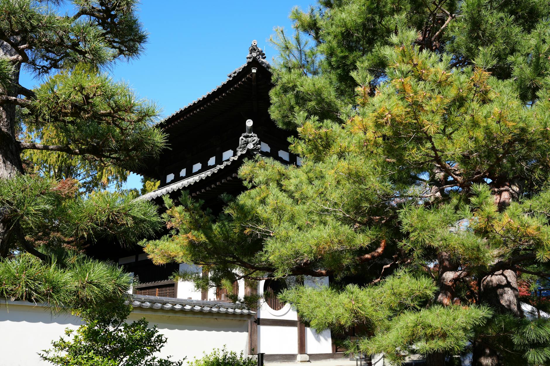 Free stock photo of japan, kyoto, temple