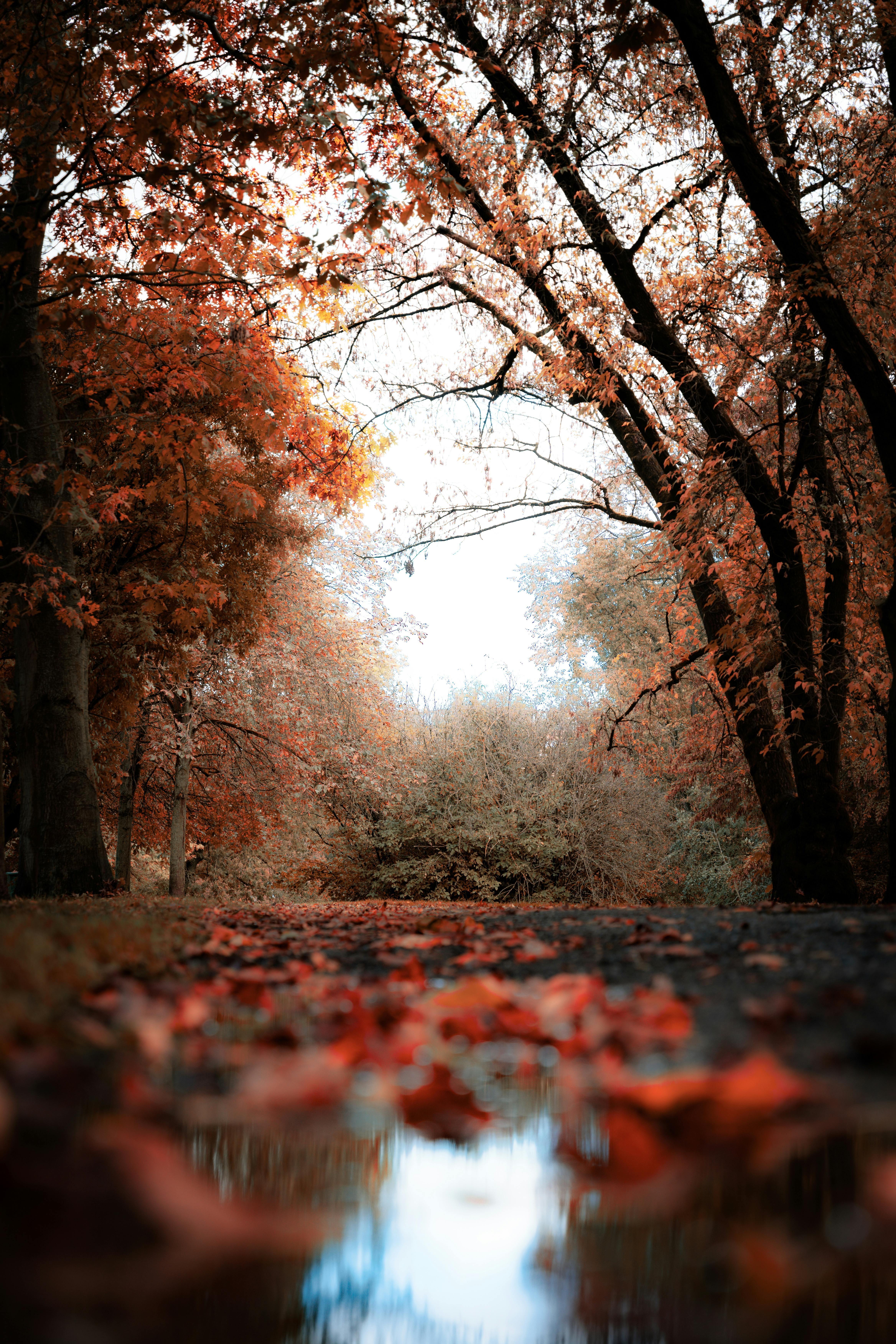 Photos+143+305*70 Photos, Download The BEST Free Photos+143+305*70 ...