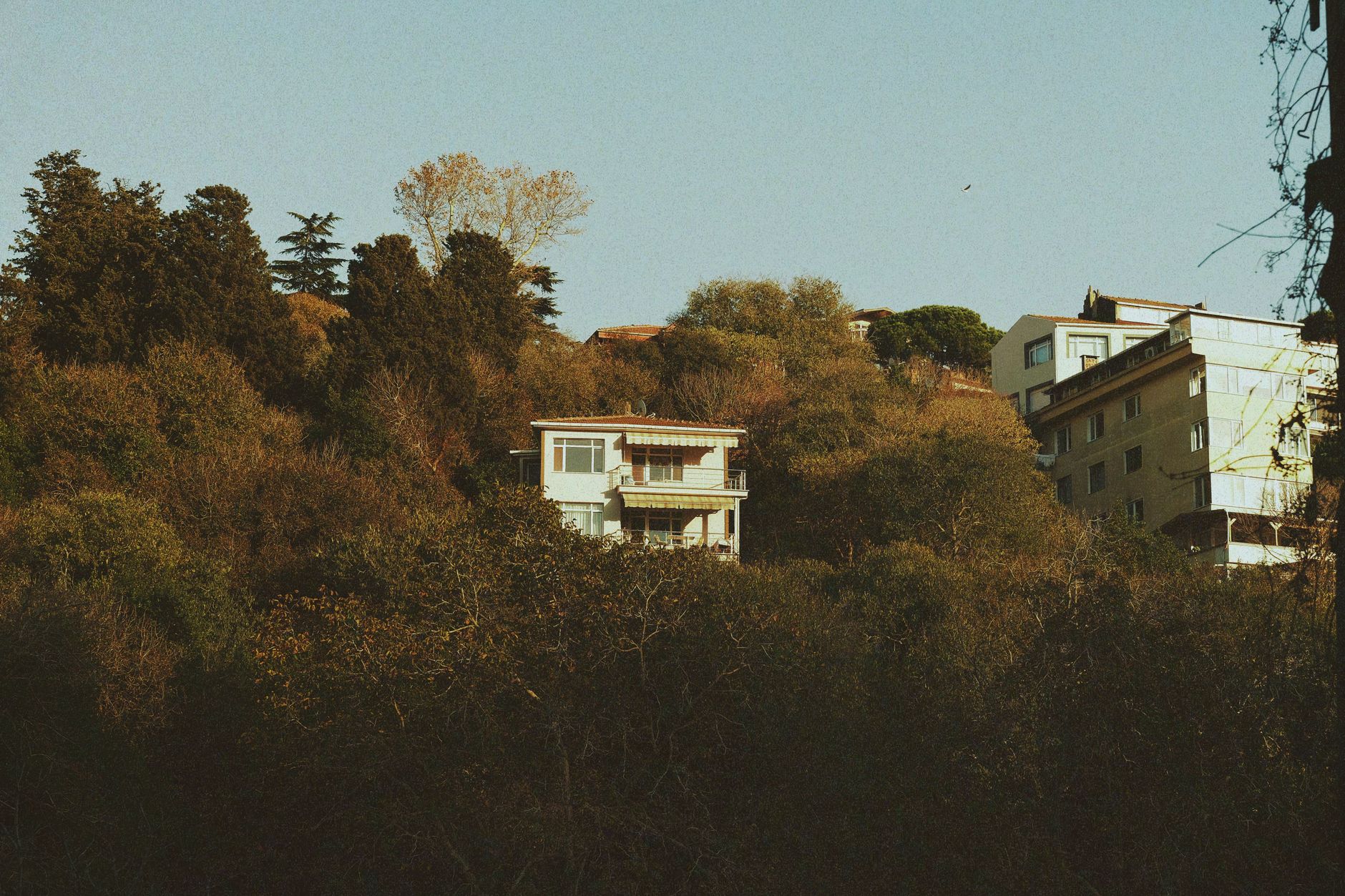 When Home Feels Like a Burden: How Trust Changes Everything