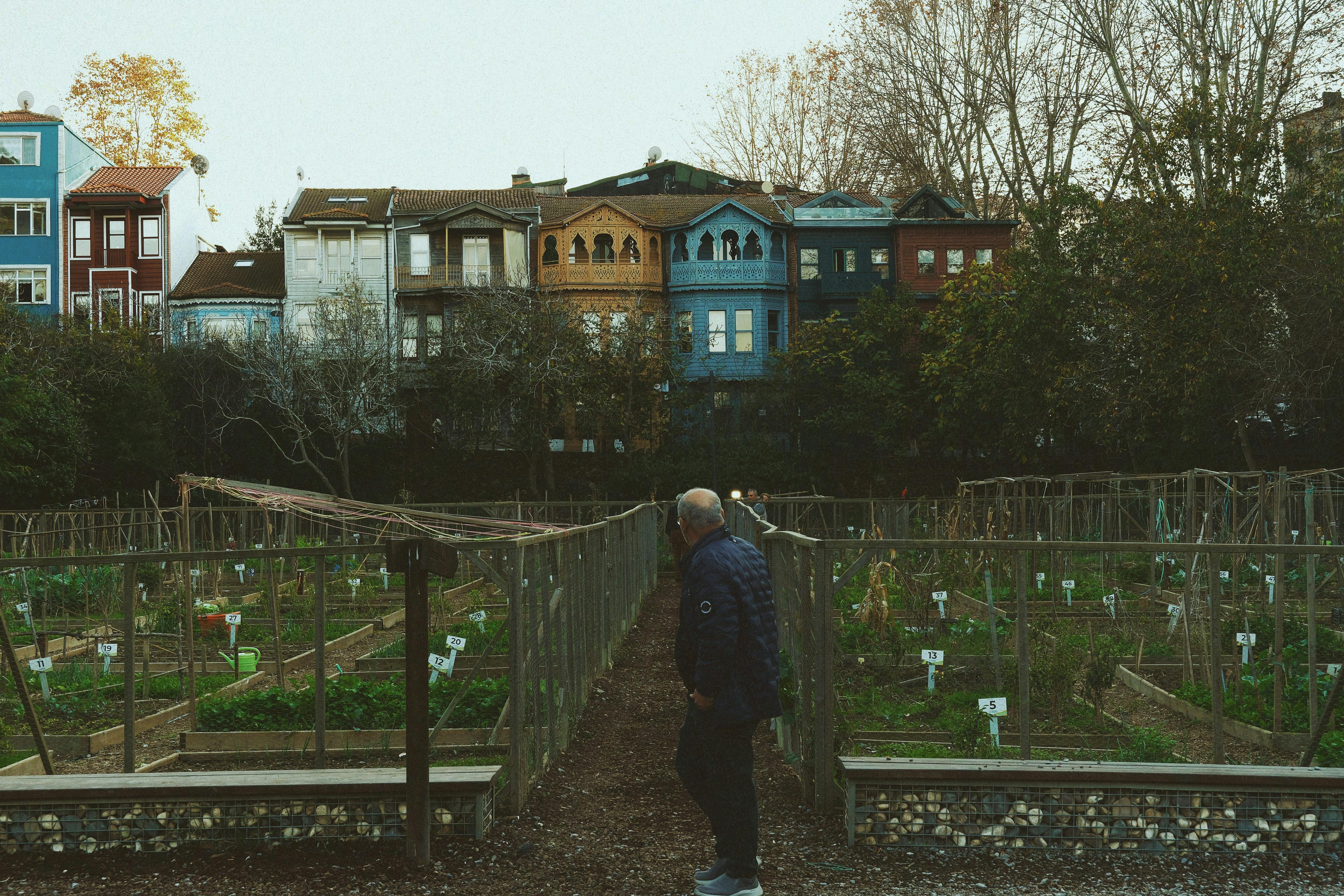 Exploring the Future of Sustainable Foods