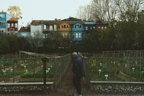 Free Elderly man walks through a community garden with colorful European buildings in background. Stock Photo