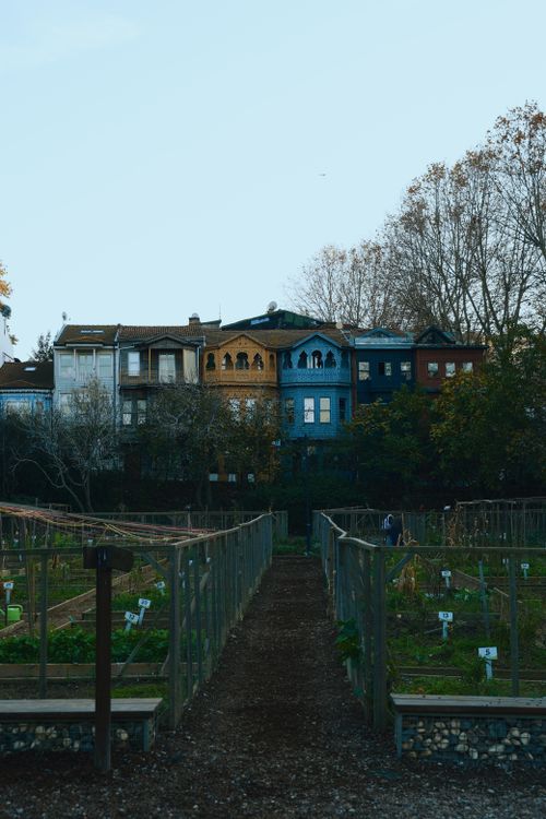 Free Vibrant houses behind a serene urban garden walkway in winter. Stock Photo