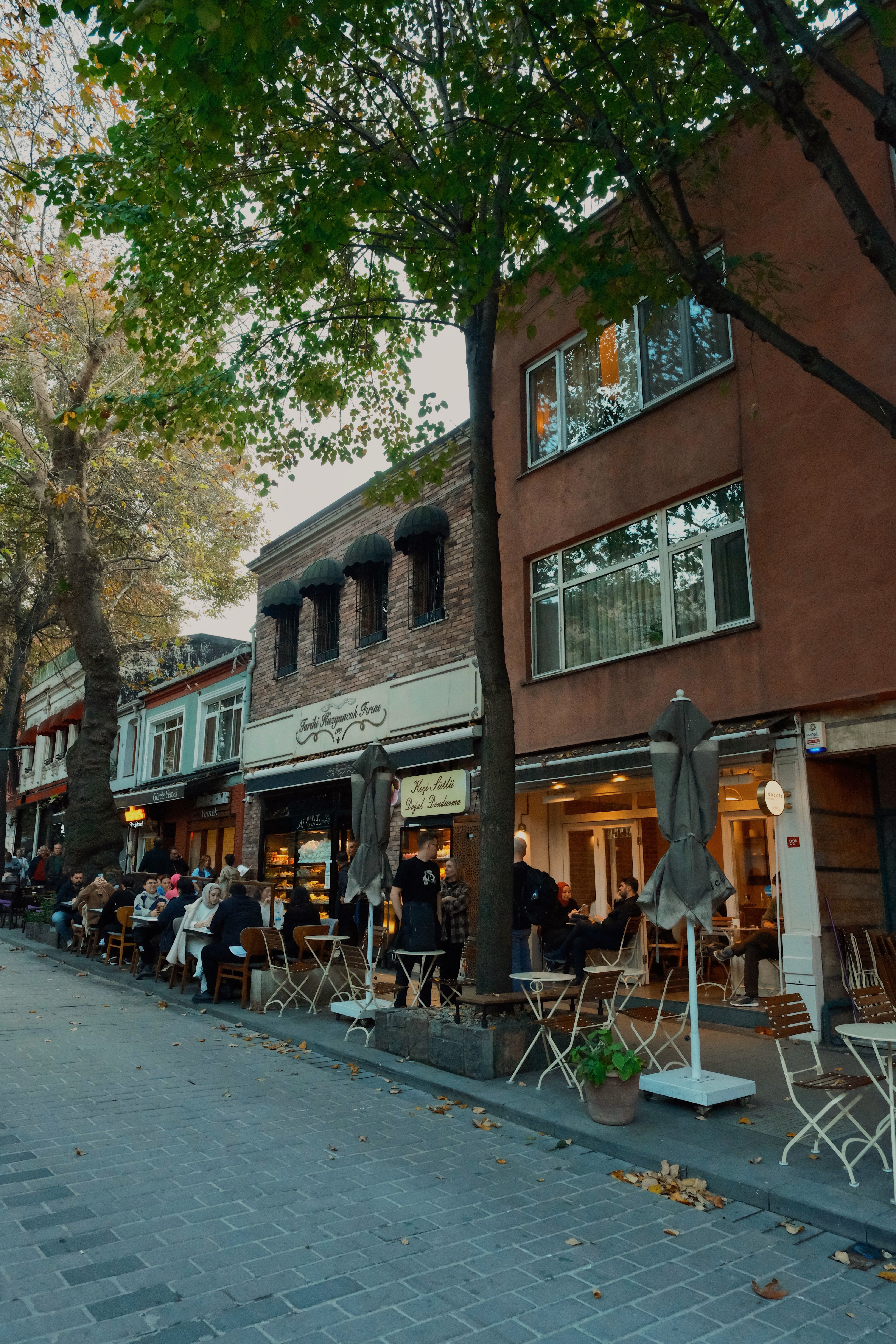 Charming outdoor café with people dining under trees in urban street.
