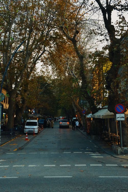 Free A peaceful tree-lined street in autumn with shops, cars, and pedestrians, capturing a serene city vibe. Stock Photo