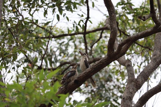 Ilustrasi Risiko, Momentum, dan Teknik Entry Pada Waran dalam artikel teknologi