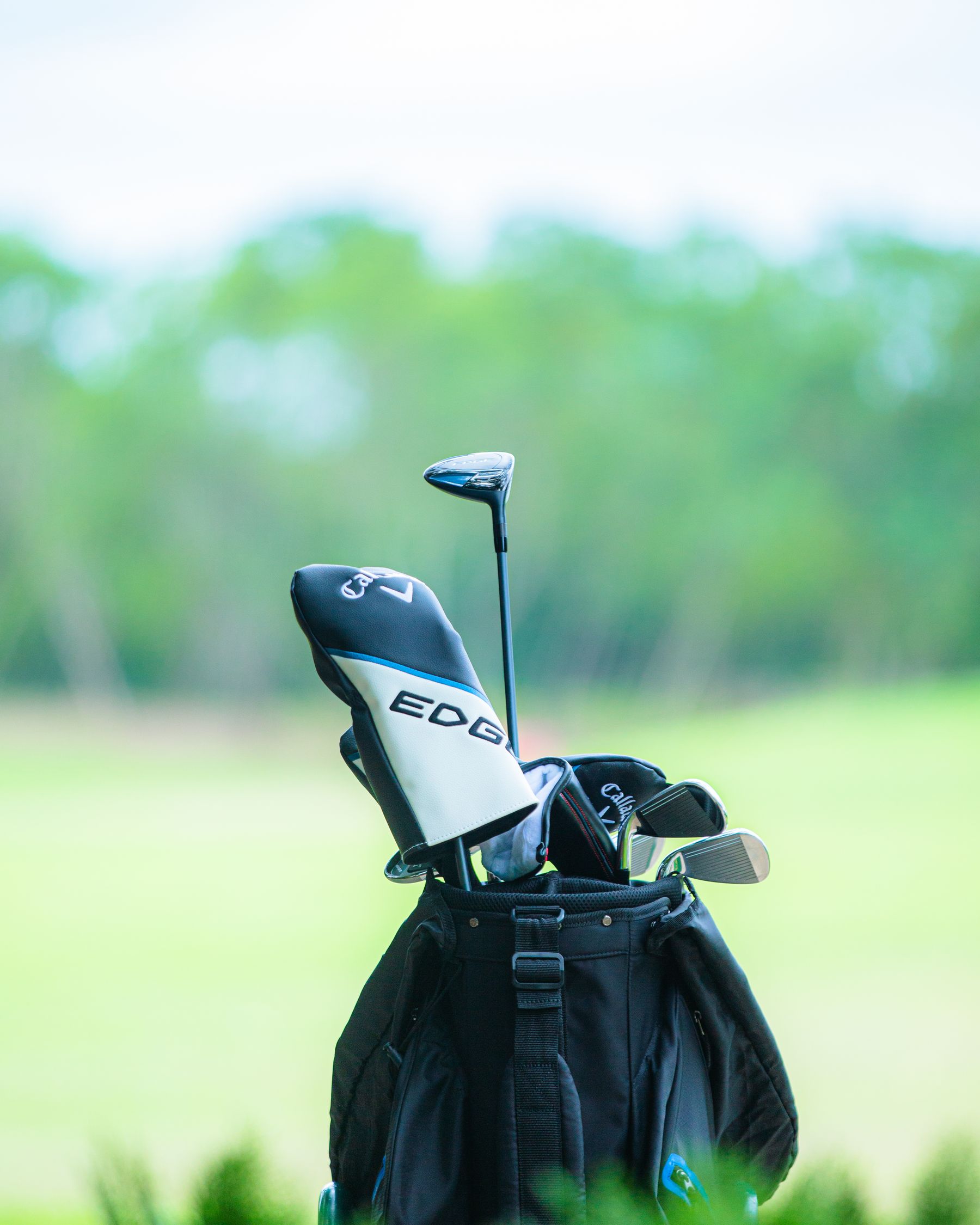 Golf clubs in a bag on the course