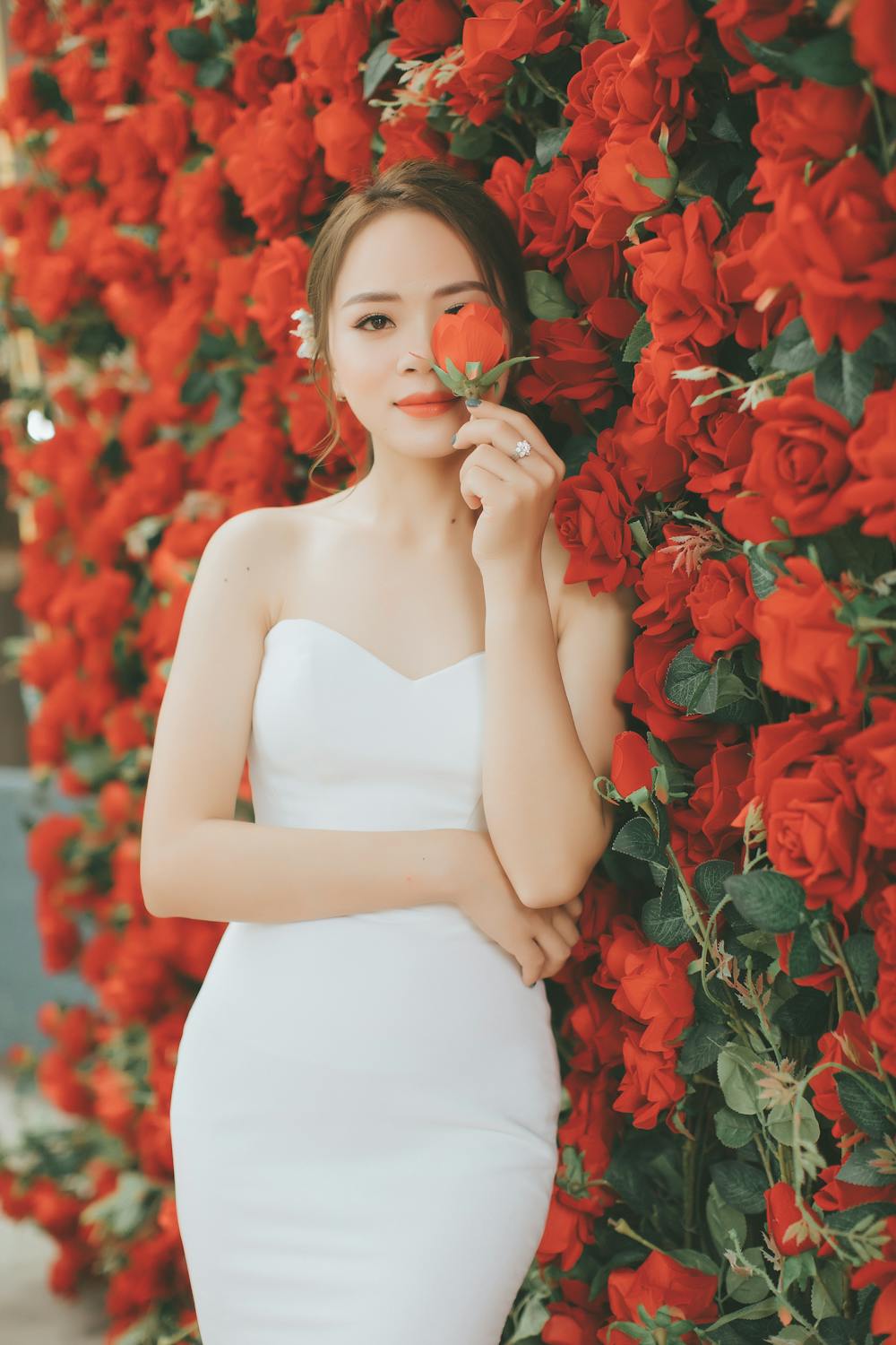 Woman Holding Red Rose · Free Stock Photo