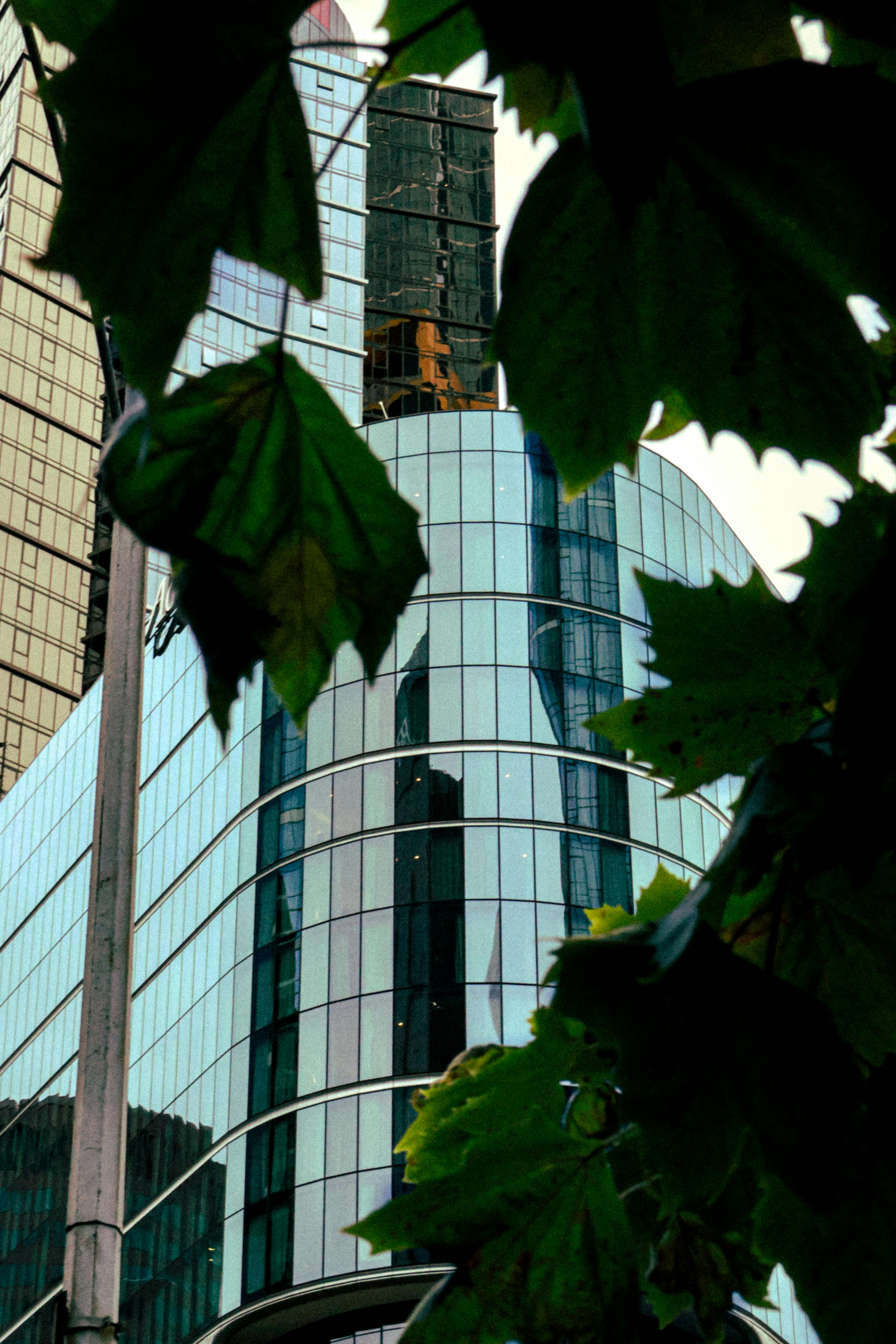 Electro Freeze Relocates to Davenport: A New Chapter After 80 Years in East Moline