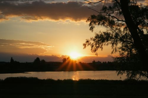 Free Beautiful sunset over a lake with silhouetted trees, offering a serene natural view. Stock Photo