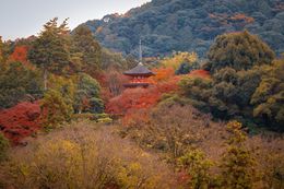 Traditional pagoda framed by autumn foliage — photo by Emiliano Lara on Pexels