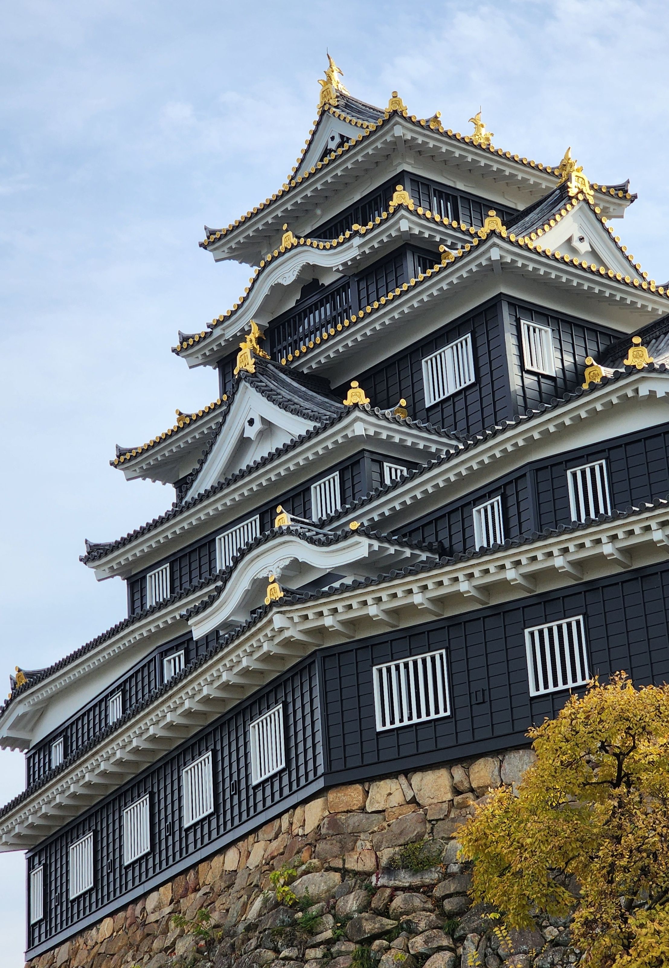 Stunning Japanese Castle Architecture in Autumn · Free Stock Photo