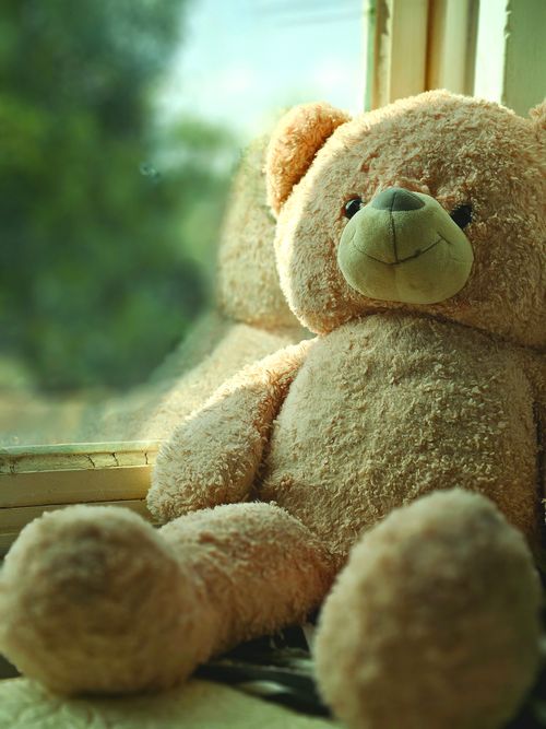 Free A fluffy teddy bear enjoying warm sunlight by a window, perfect for themes of childhood and nostalgia. Stock Photo