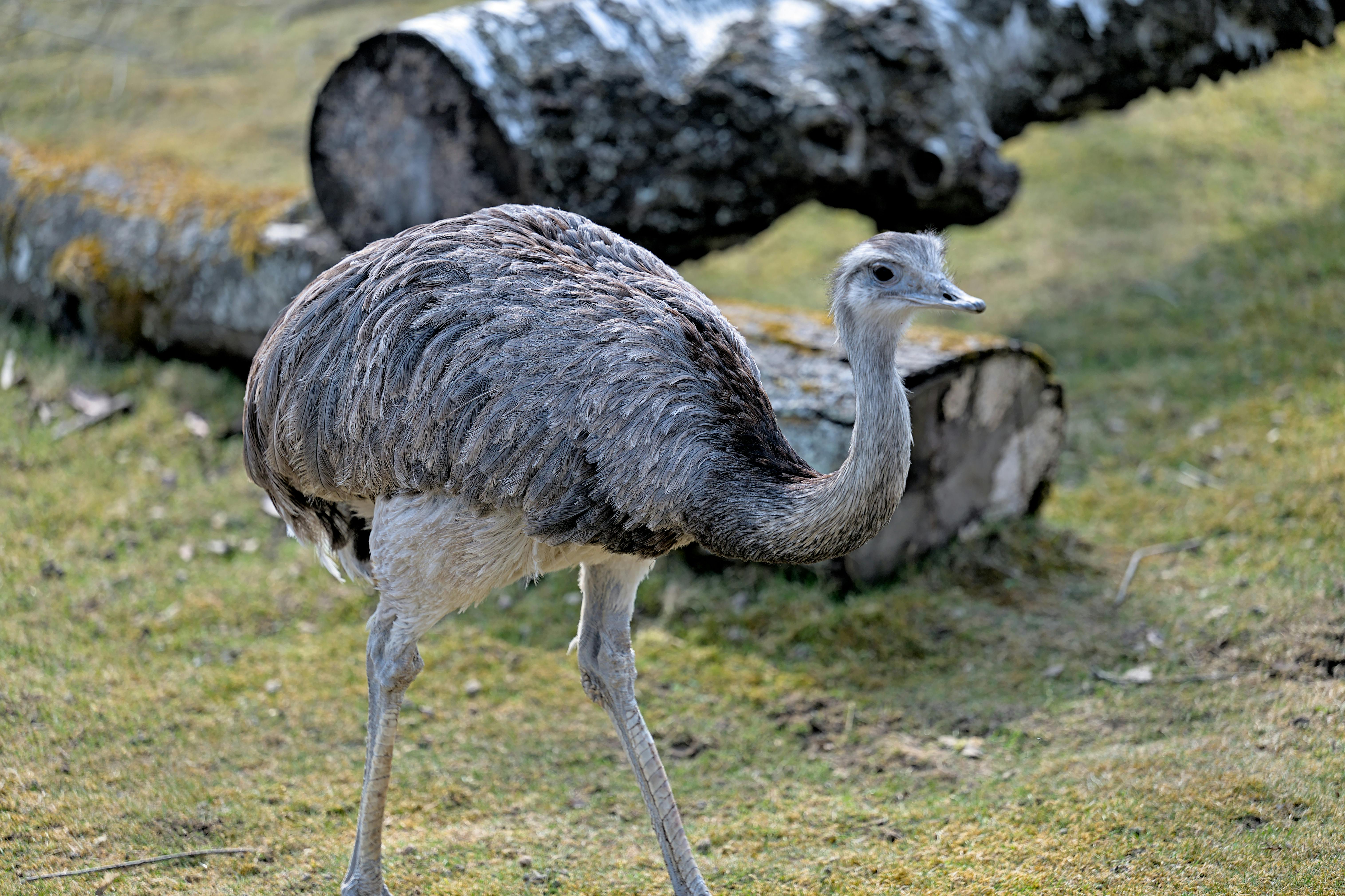 Exploring Curious Fragrance Concoctions: Unique Scents to Ignite Your Senses