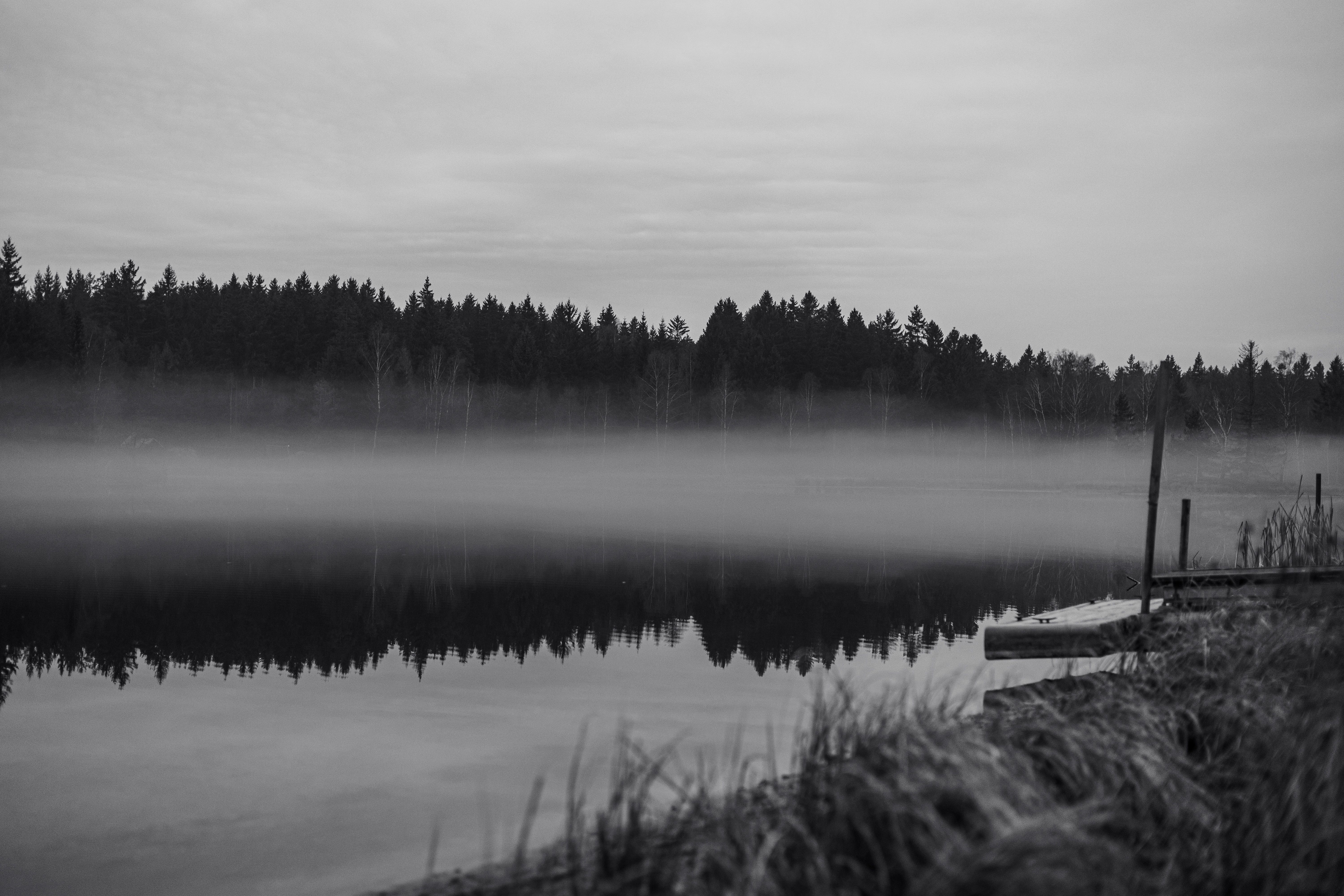 Ruhiger See am Waldrand als Symbolbild fuer den Weissenstaedter See