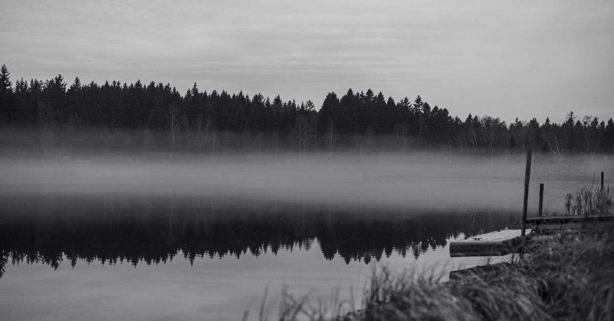 Ruhiger See am Waldrand als Symbolbild fuer den Weissenstaedter See