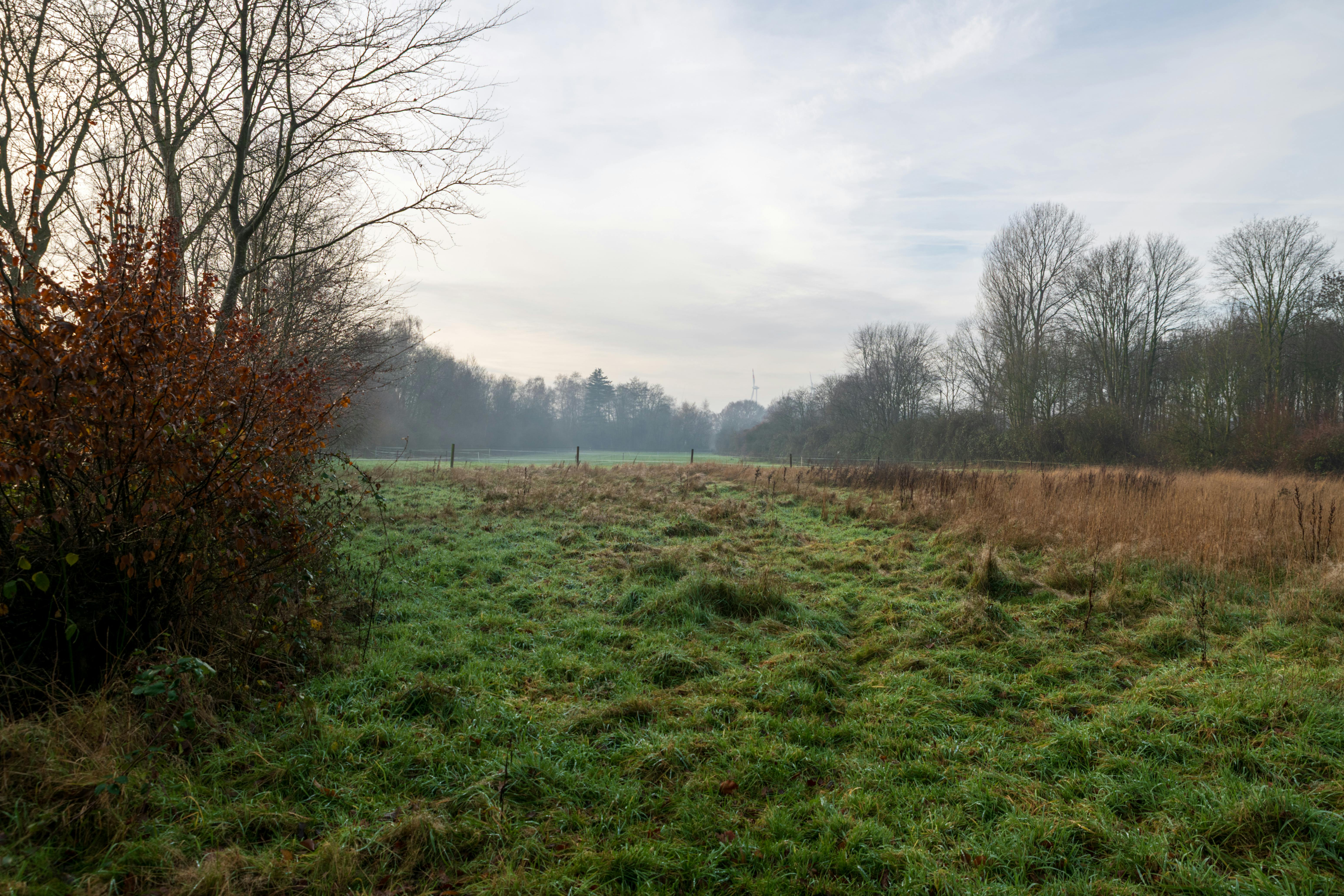 Surprising Top 10 Least Expected Hacks You Need Now