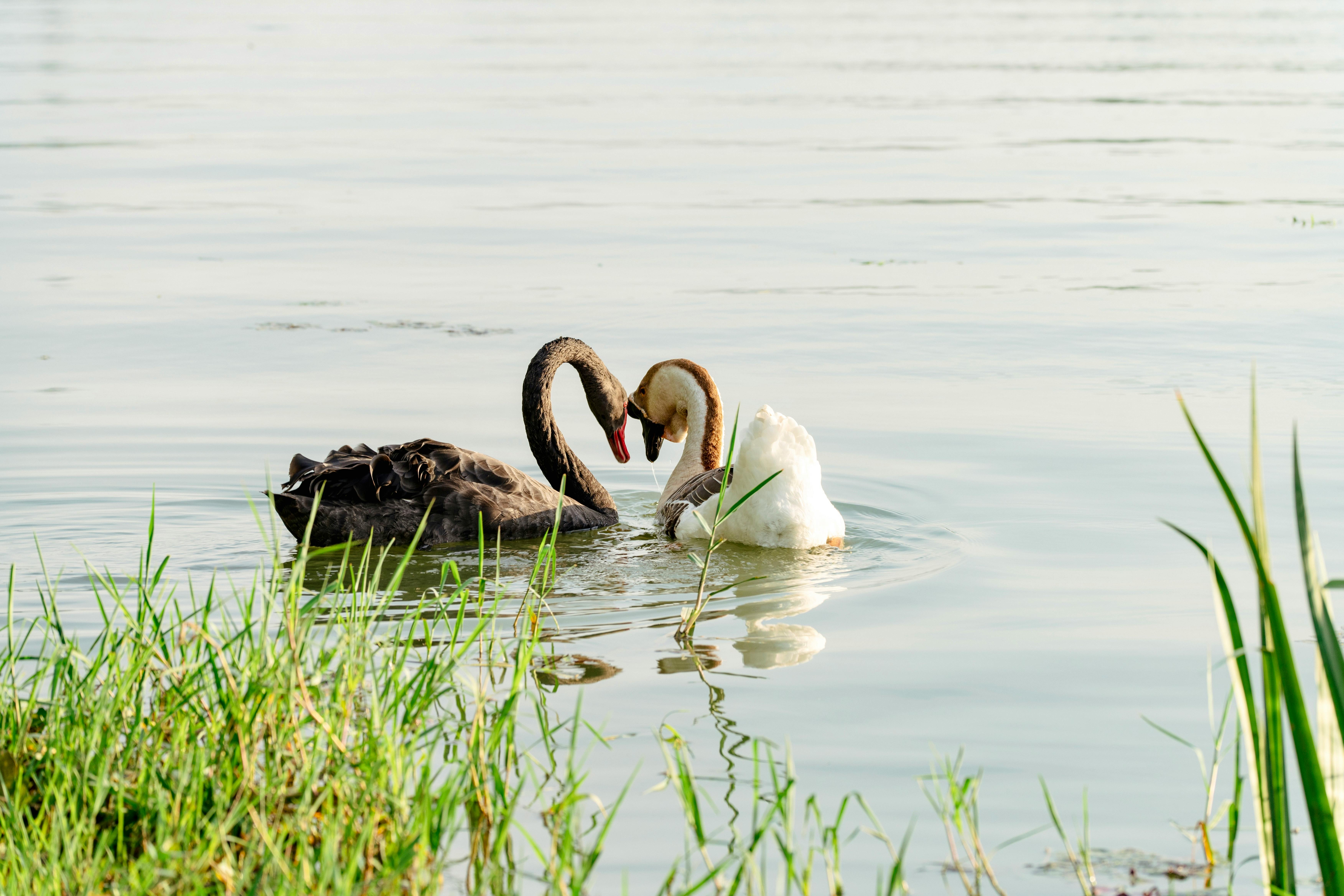 Ignite Passion in Your Relationship: Tips for a Rekindled Love