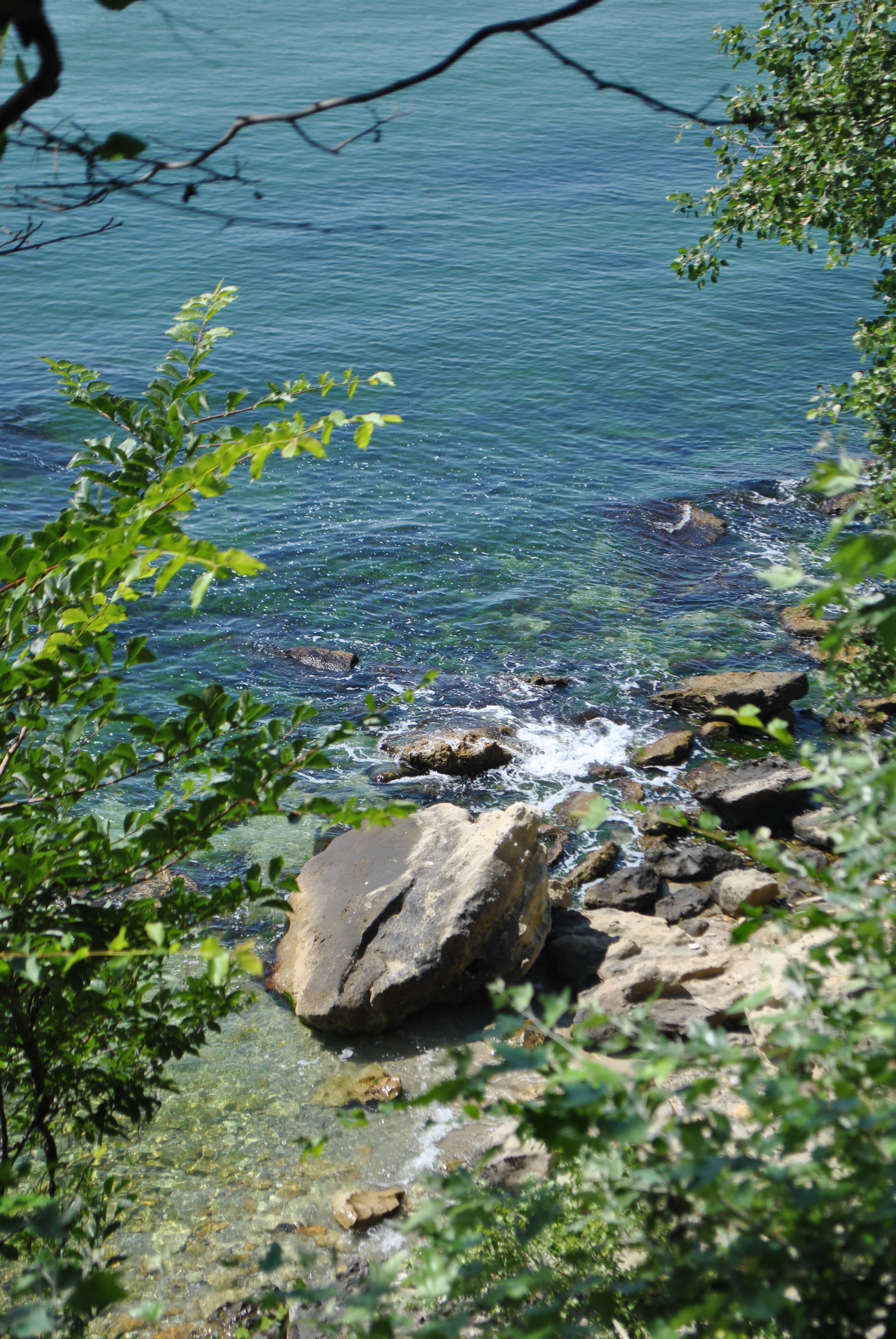 Scenic Coastal View with Lush Greenery · Free Stock Photo