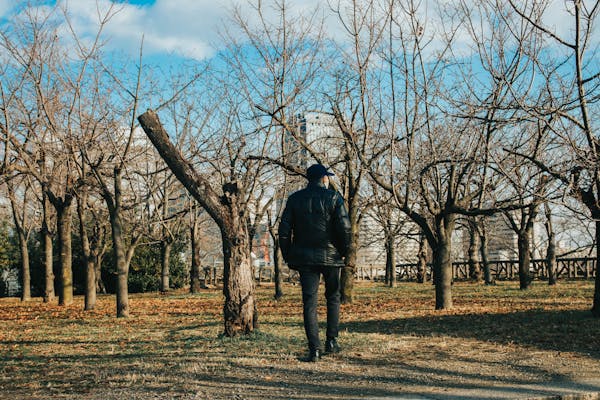 2025 California Building Code Updates: What You Need to Know