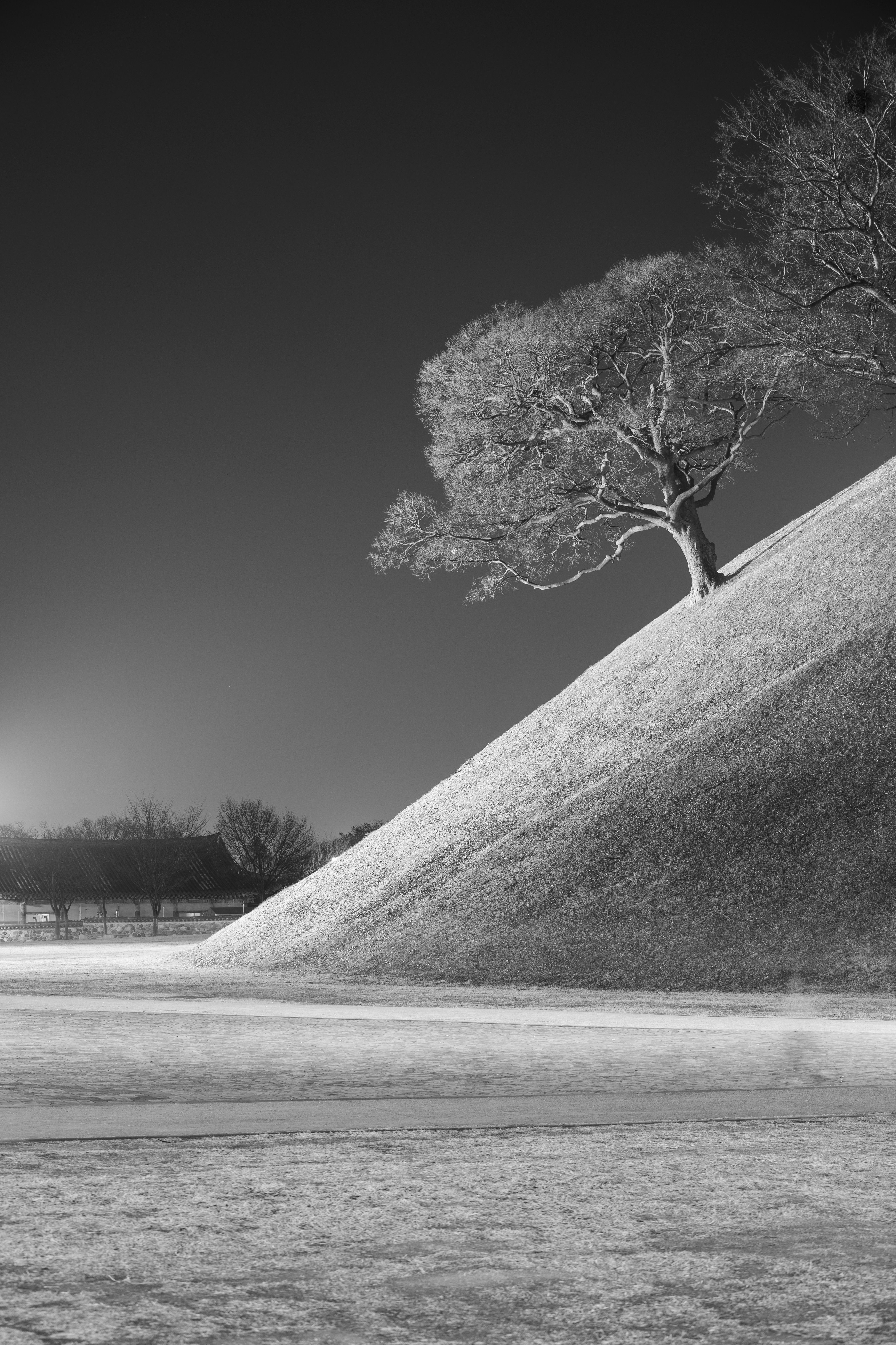 family walking daereungwon tombs gyeongju