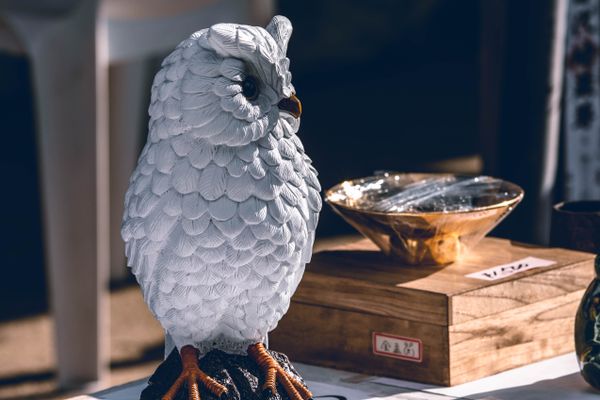 Tallinna tänavad ja hooned