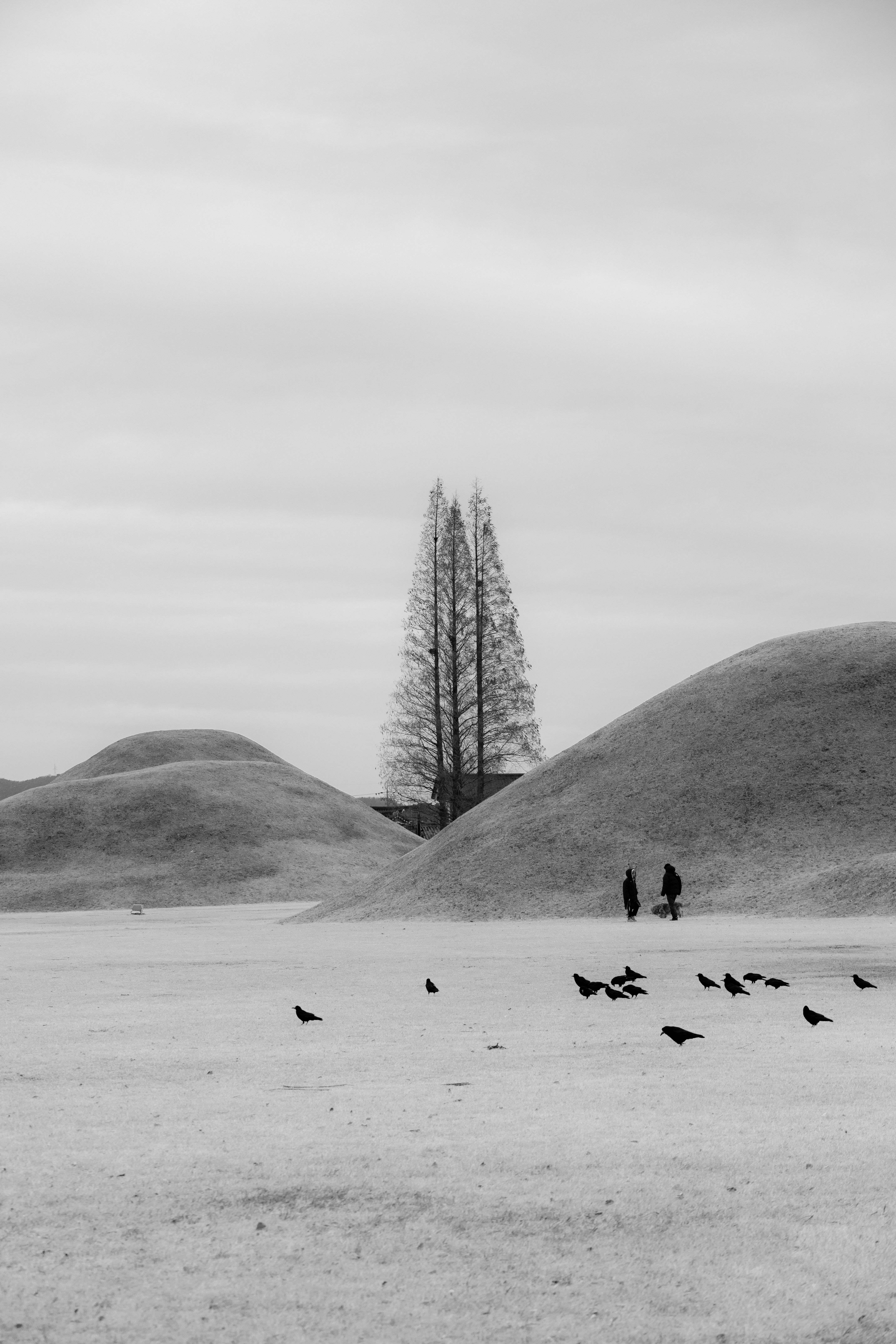 Black and White Landscape with Rolling Hills · Free Stock Photo