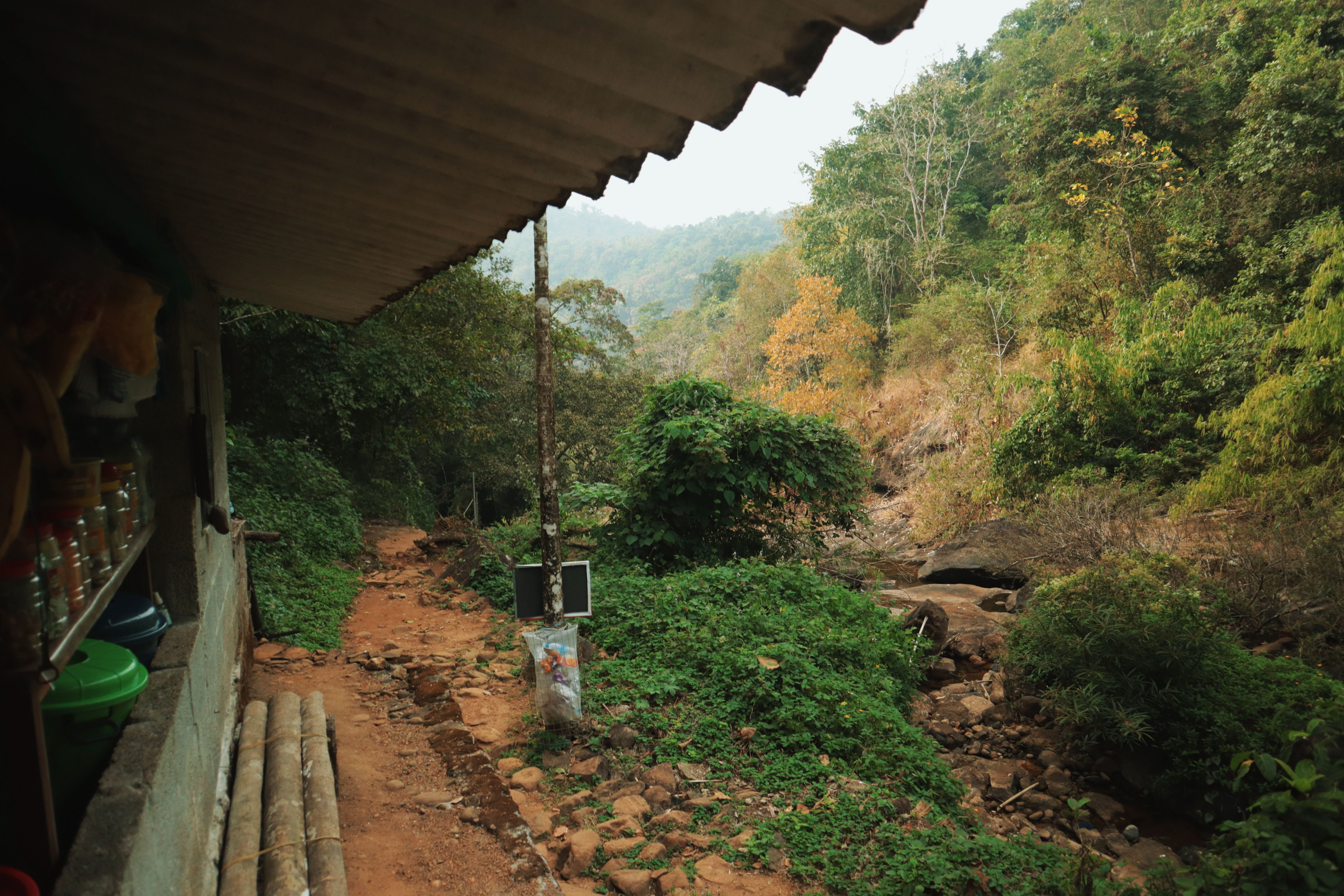 Camp at a shelter or primitive site
