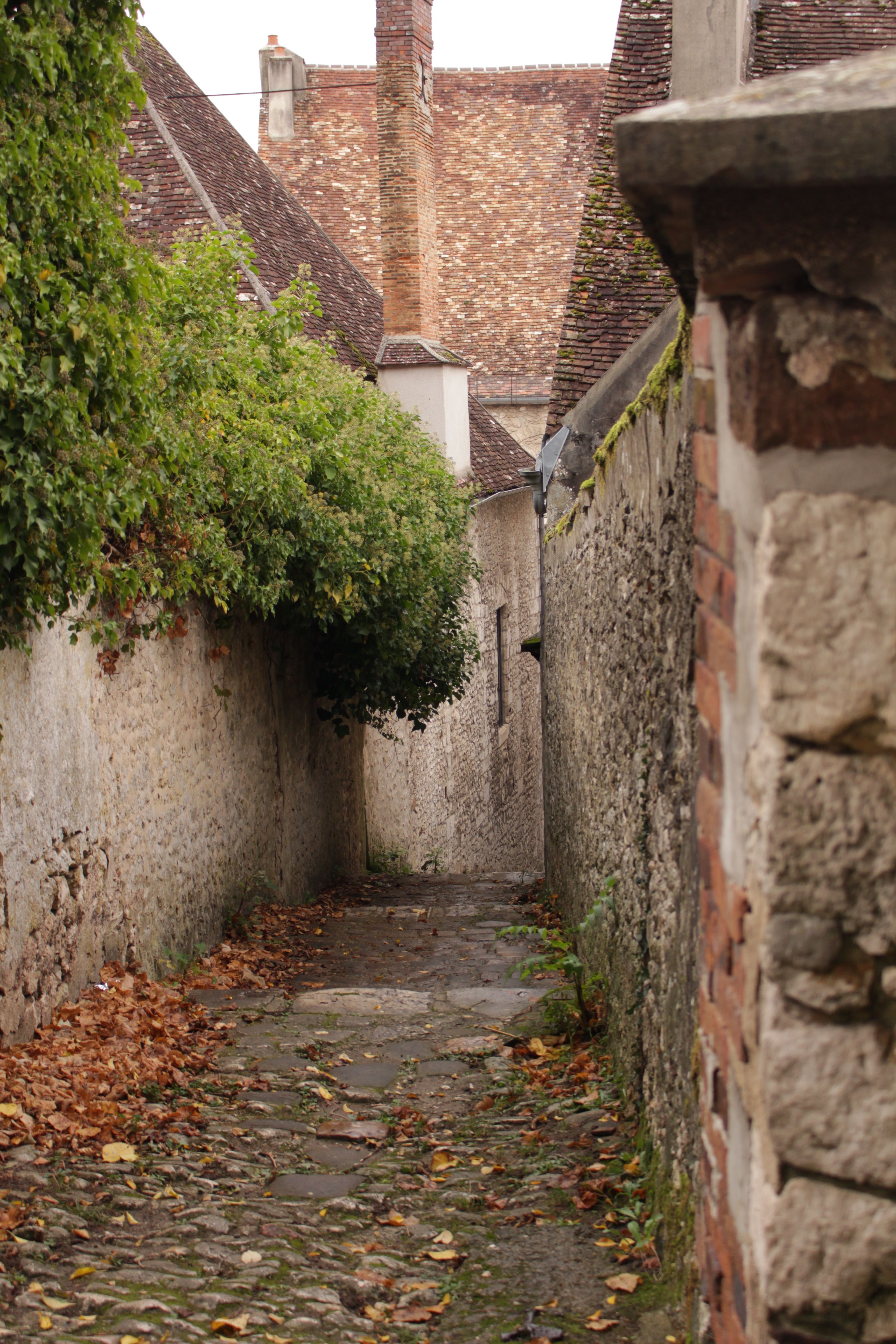 Charming Cobblestone Alley in Historic Village · Free Stock Photo