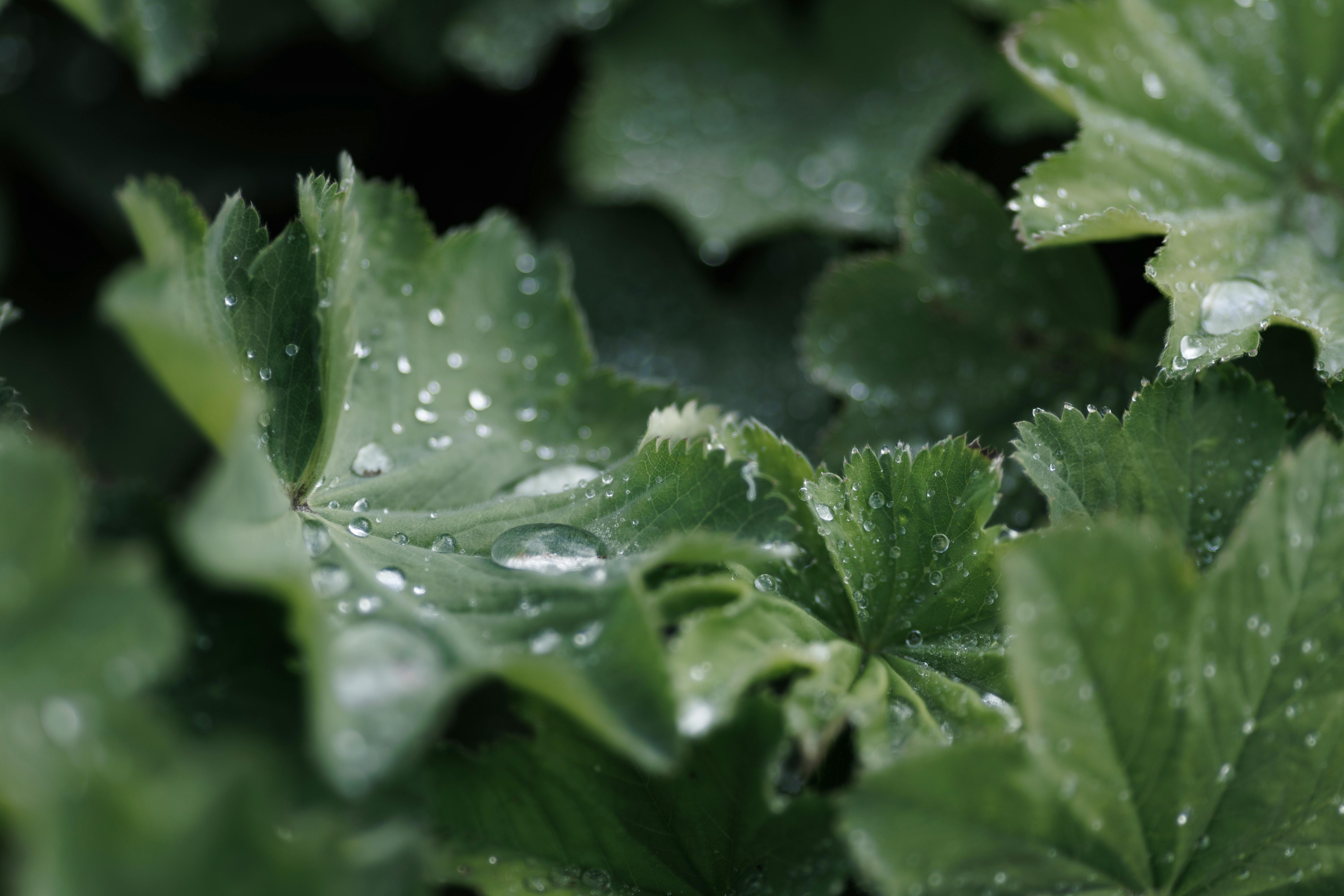 Wake Up Energy Secrets: Boost Your Morning Vitality Naturally