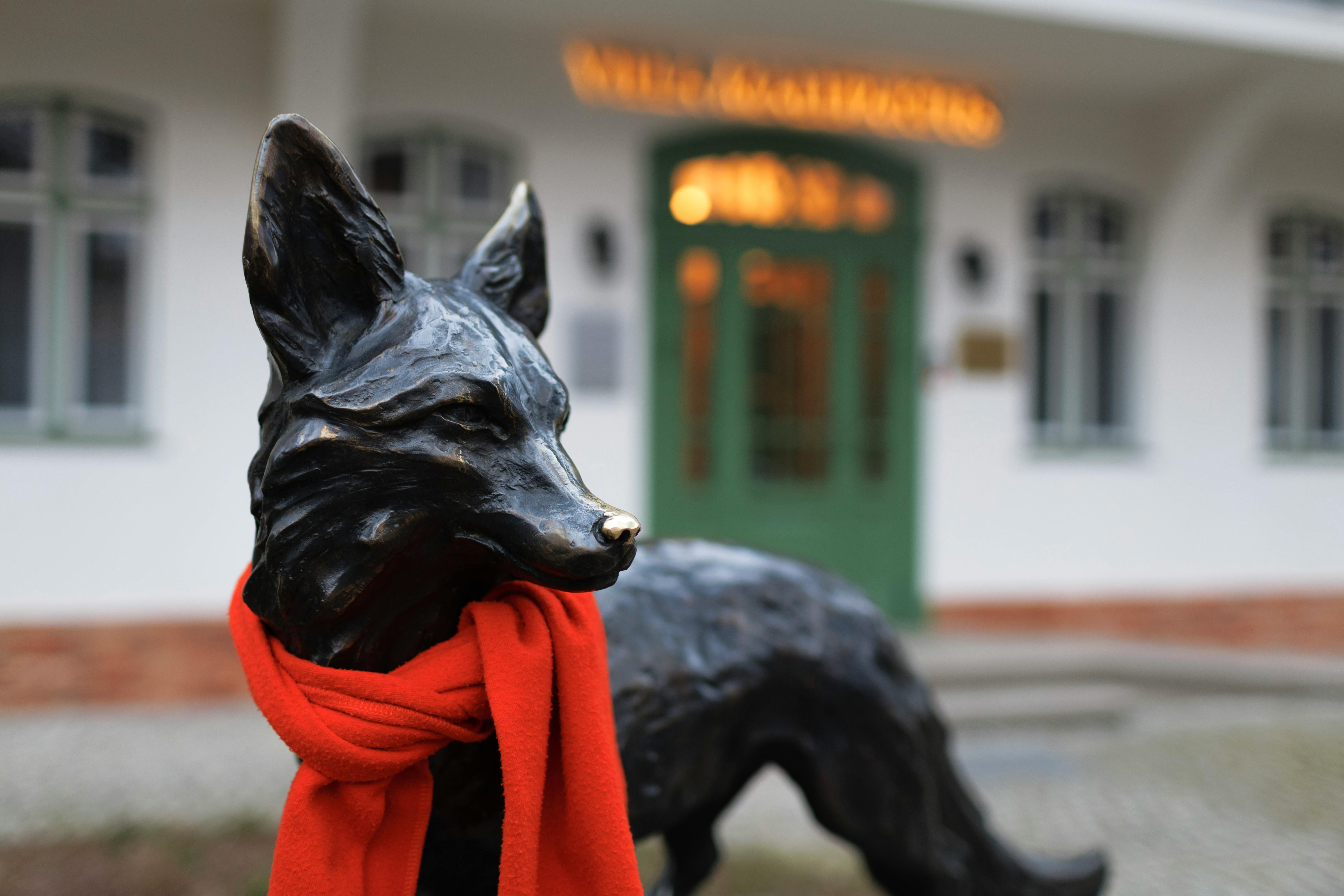 Cultivating Trust and Understanding in Relationships