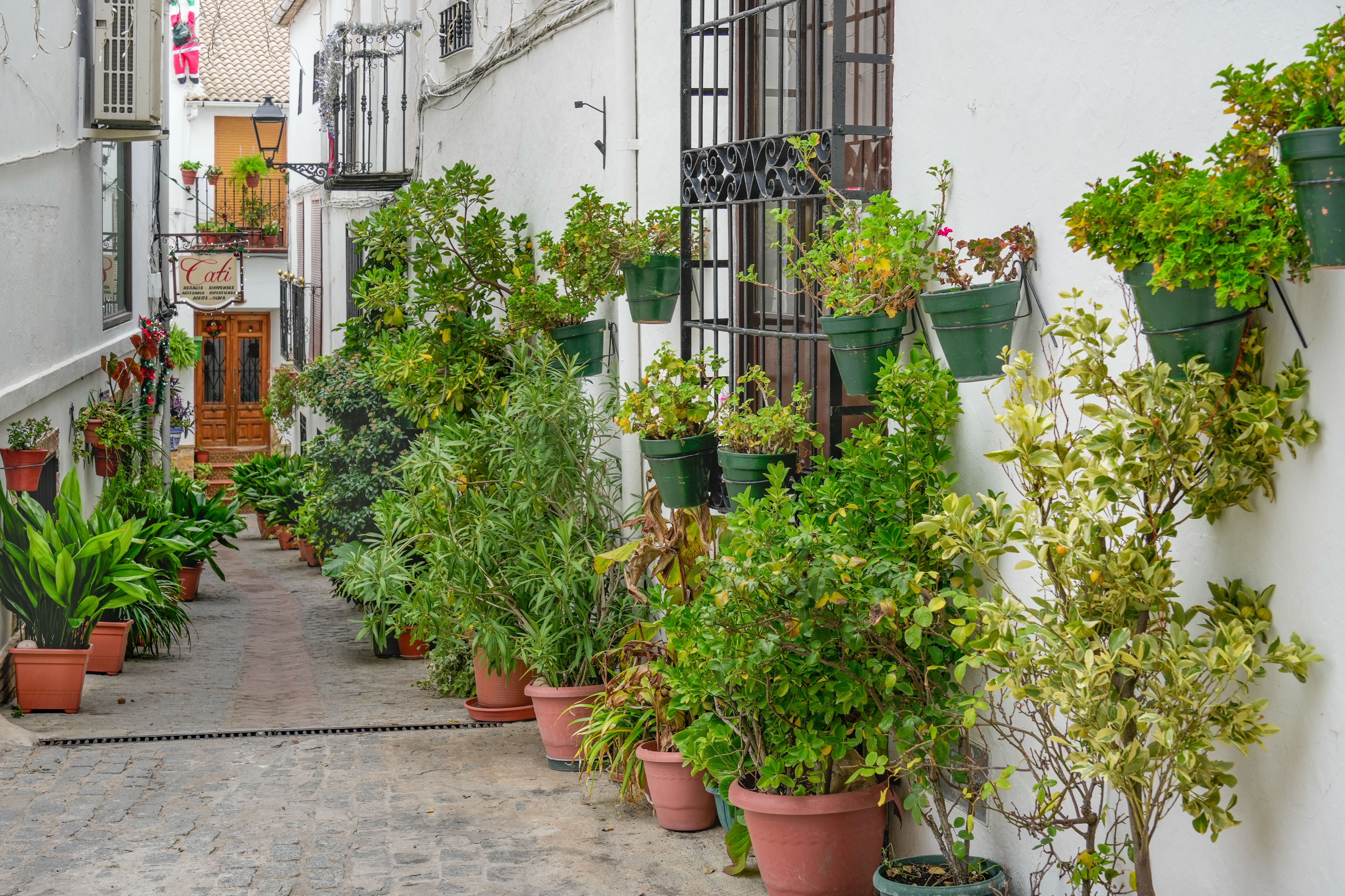Cadaqués Old Town