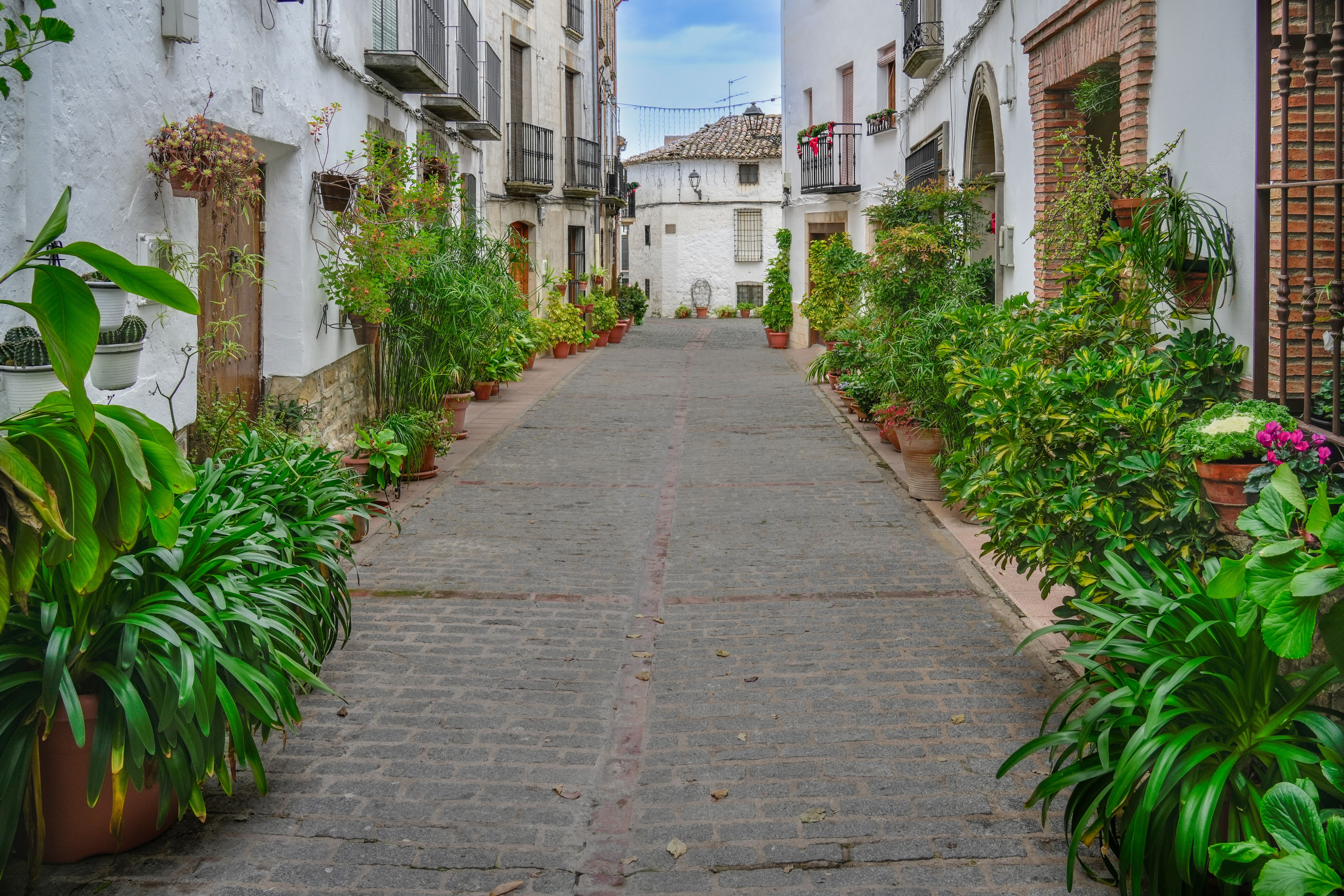 A picturesque alley in Iznatoraf, Andalucía with lush greenery and historic buildings.
