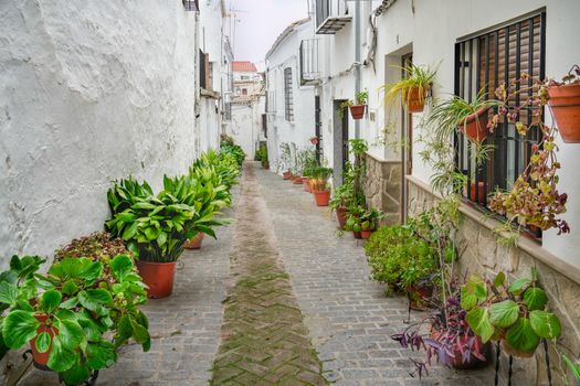 Picturesque narrow street with potted plants in Iznatoraf, Andalucía, Spain.