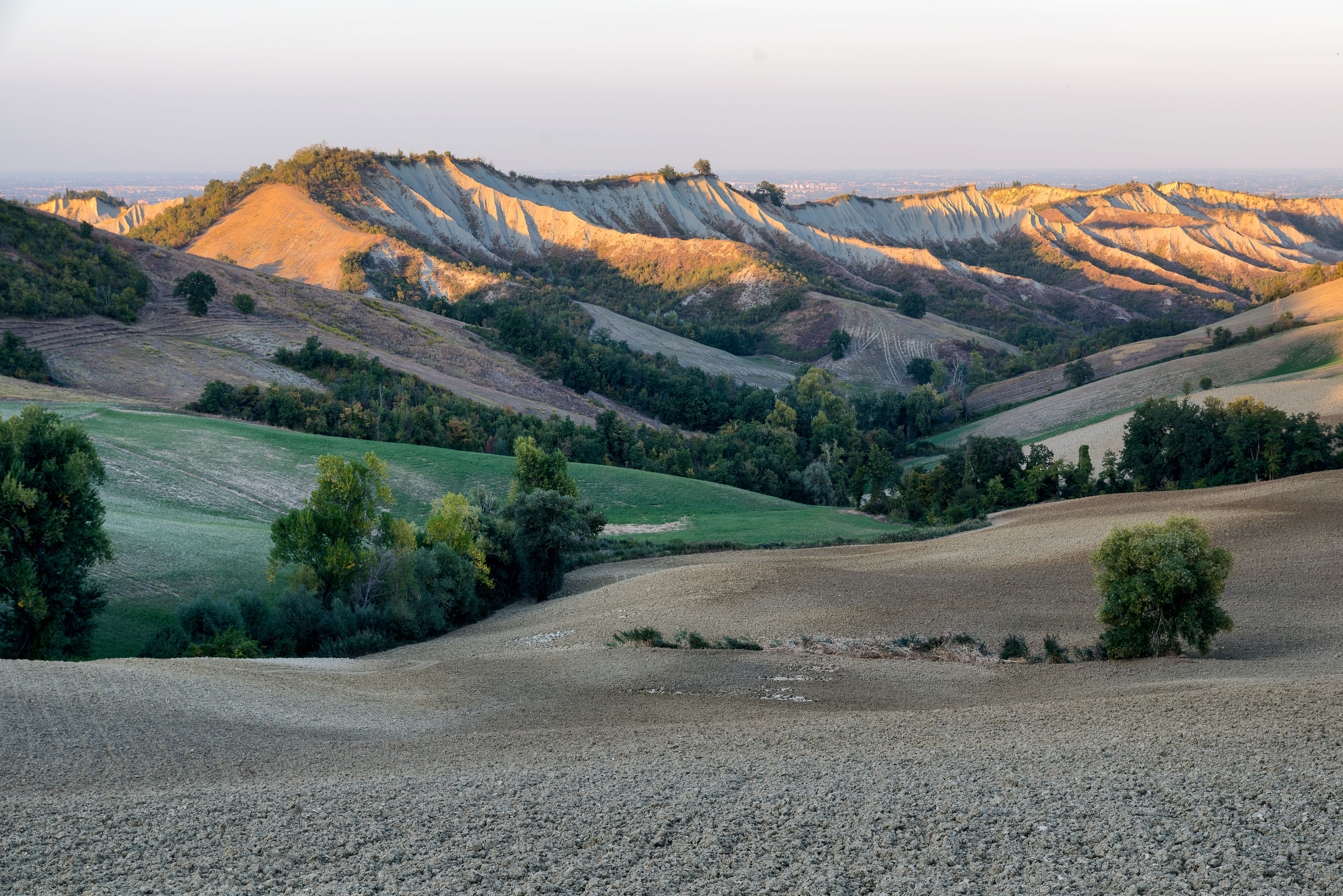 Paysage vallonné avec lumière douce