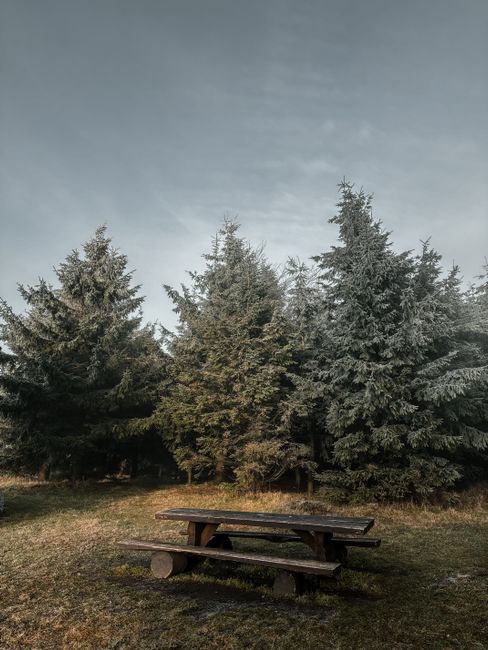 Sunlit national park trail with pine trees, a ranger station in the distance, and a Junior Ranger booklet on a wooden picnic table