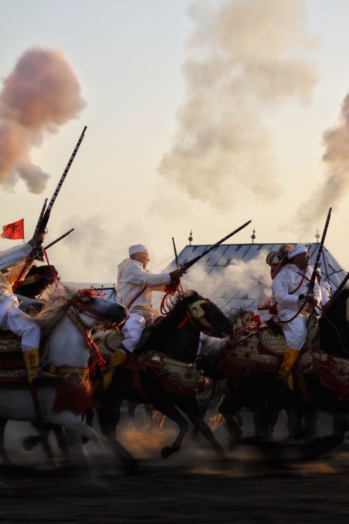 Free Captivating scene of Moroccan horsemen performing a traditional Fantasia during sunset in Fès. Stock Photo