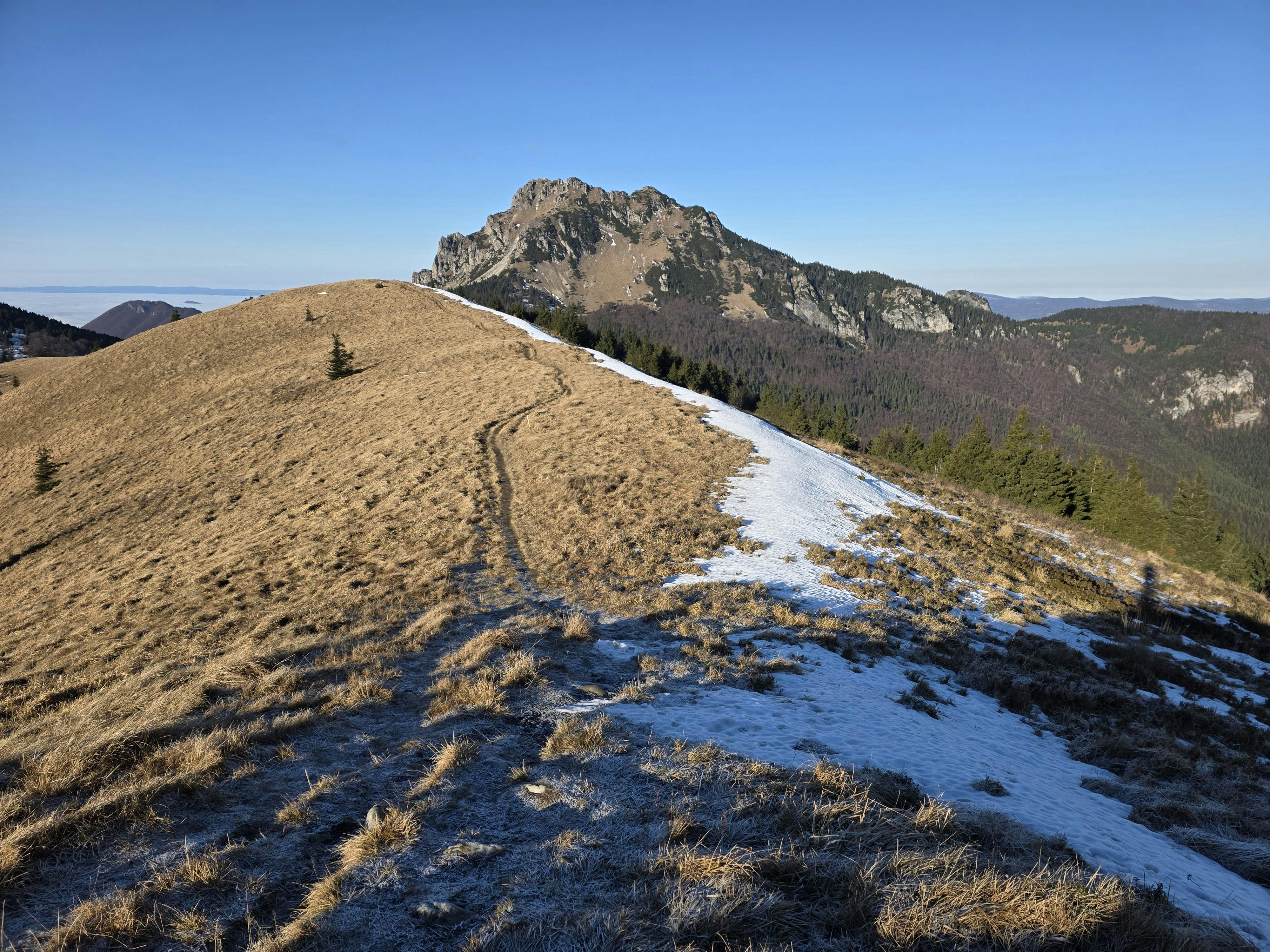 Image : Frozen Peaks, Fiery Spirit: Our Solo Mount Kenya Adventure