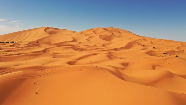 A solitary figure amidst the vast golden dunes of the Sahara under a clear blue sky.